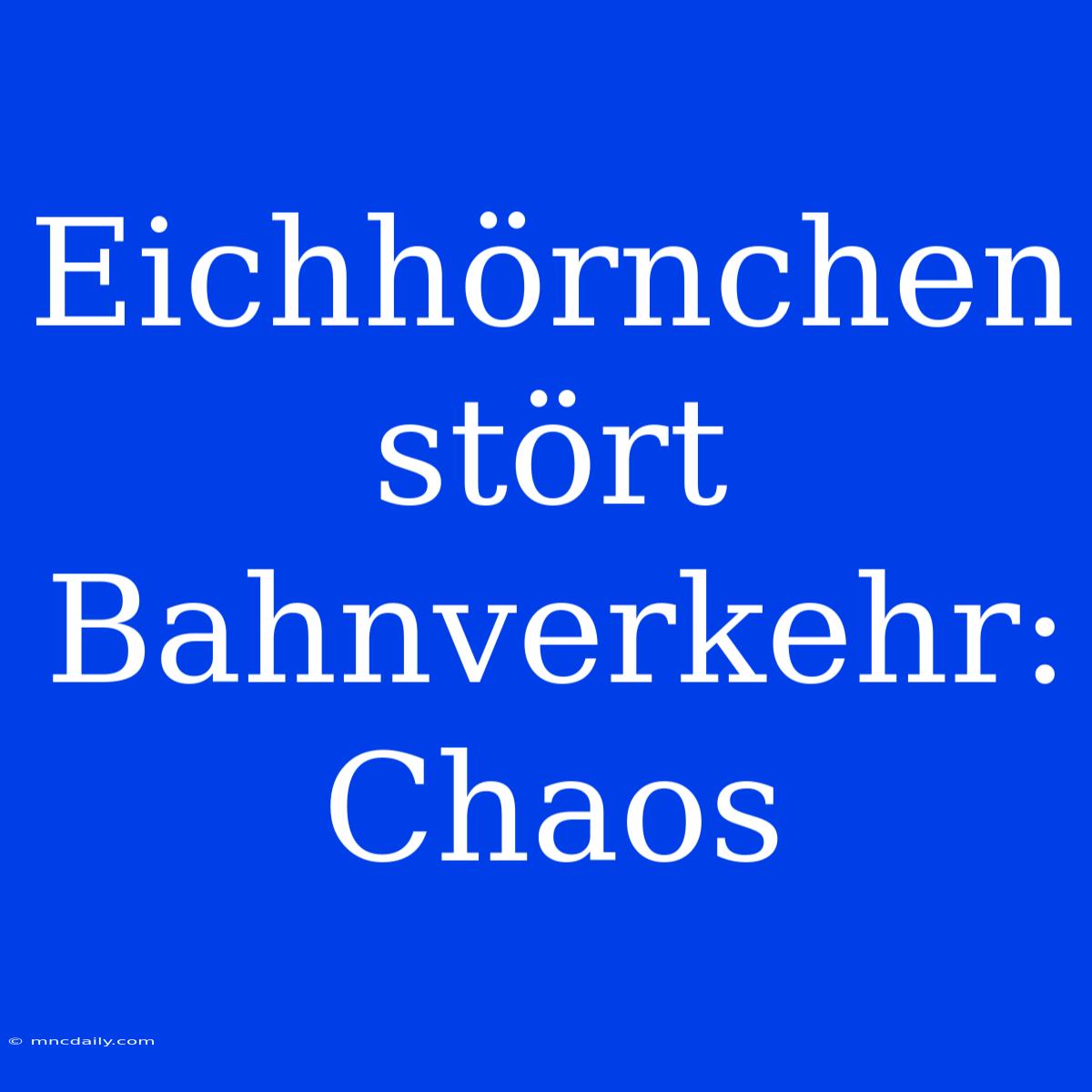 Eichhörnchen Stört Bahnverkehr:  Chaos  