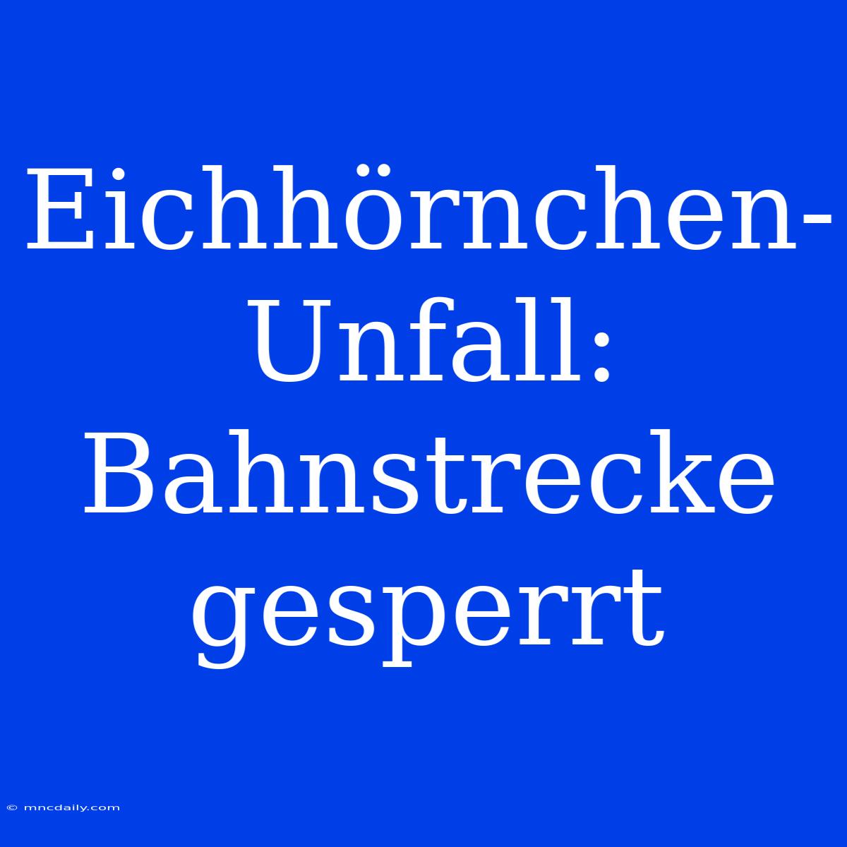 Eichhörnchen-Unfall: Bahnstrecke Gesperrt