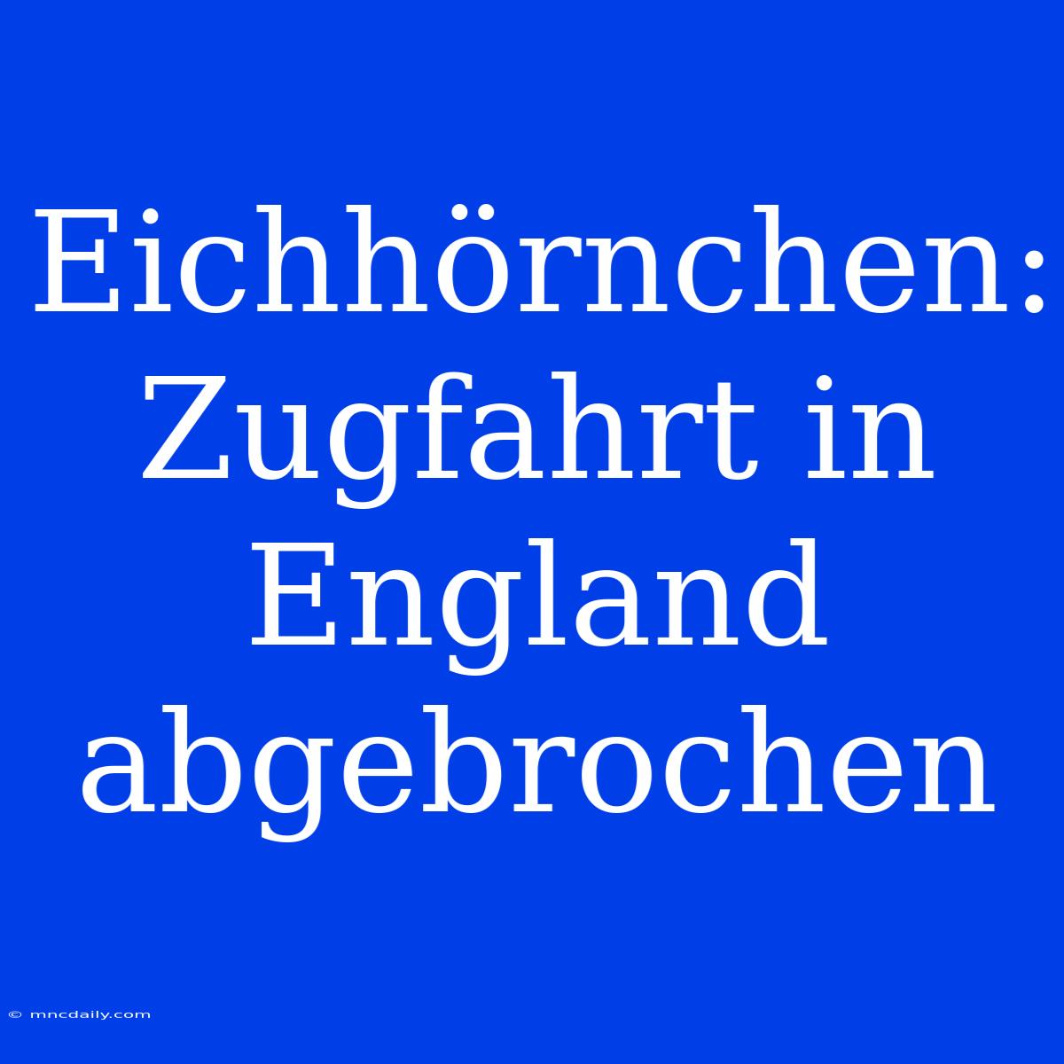 Eichhörnchen: Zugfahrt In England Abgebrochen