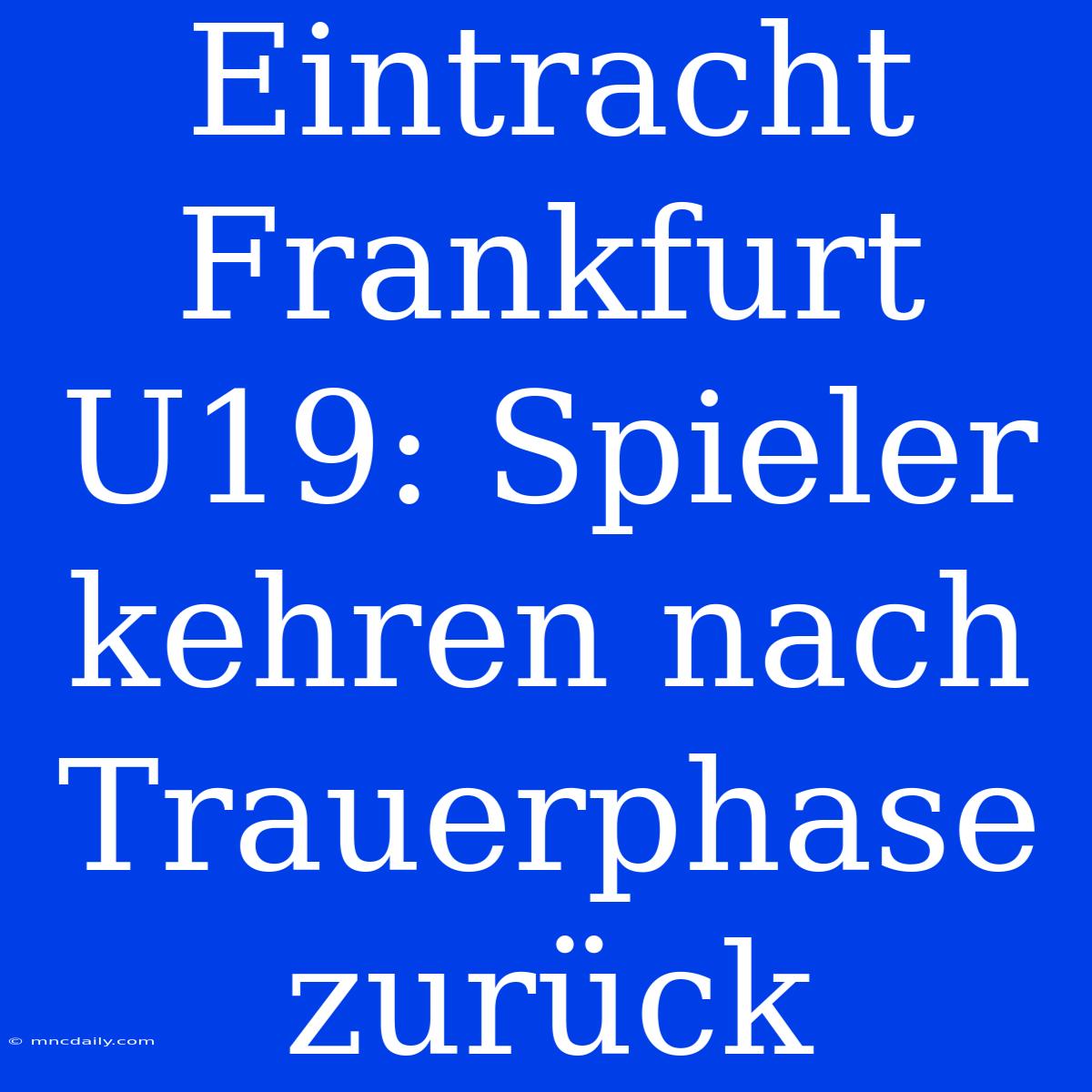 Eintracht Frankfurt U19: Spieler Kehren Nach Trauerphase Zurück