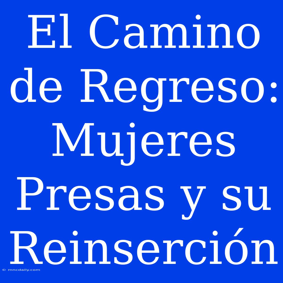 El Camino De Regreso: Mujeres Presas Y Su Reinserción 