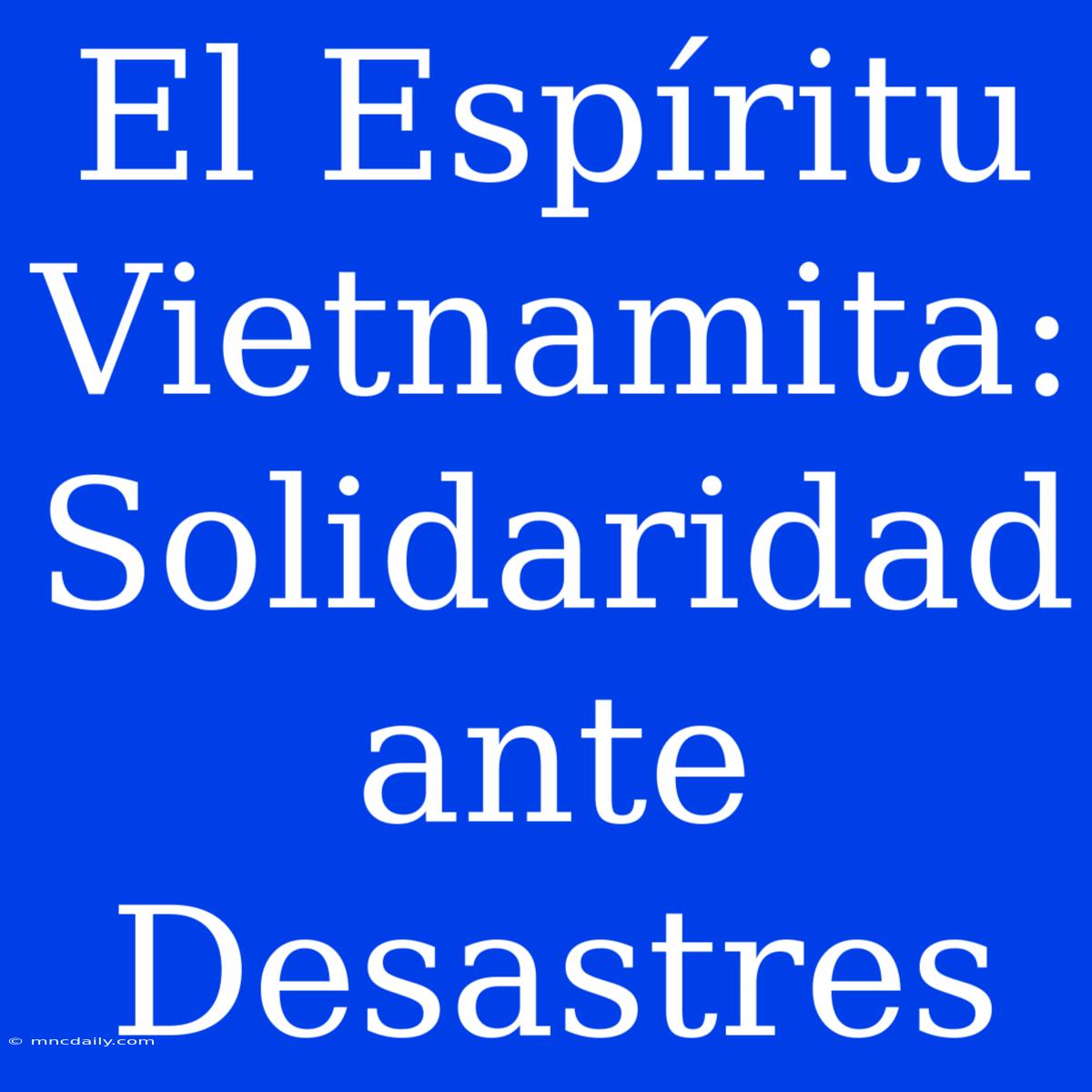 El Espíritu Vietnamita: Solidaridad Ante Desastres