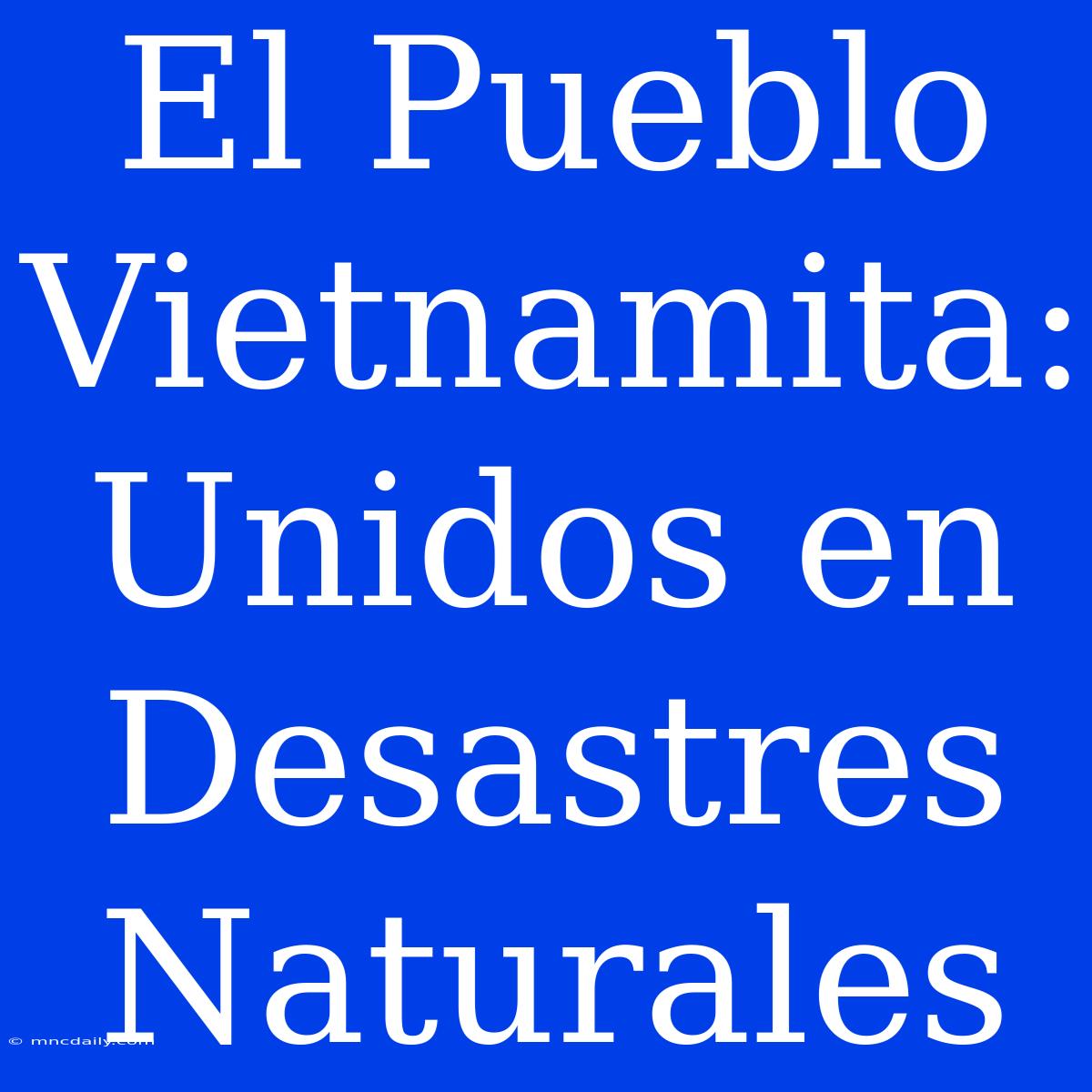 El Pueblo Vietnamita: Unidos En Desastres Naturales