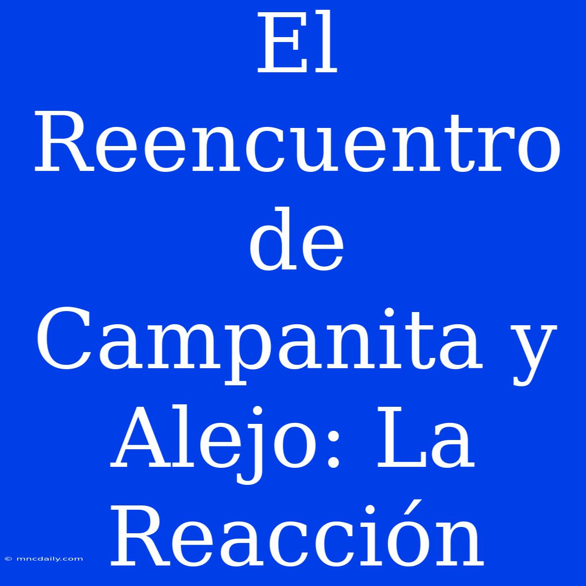 El Reencuentro De Campanita Y Alejo: La Reacción