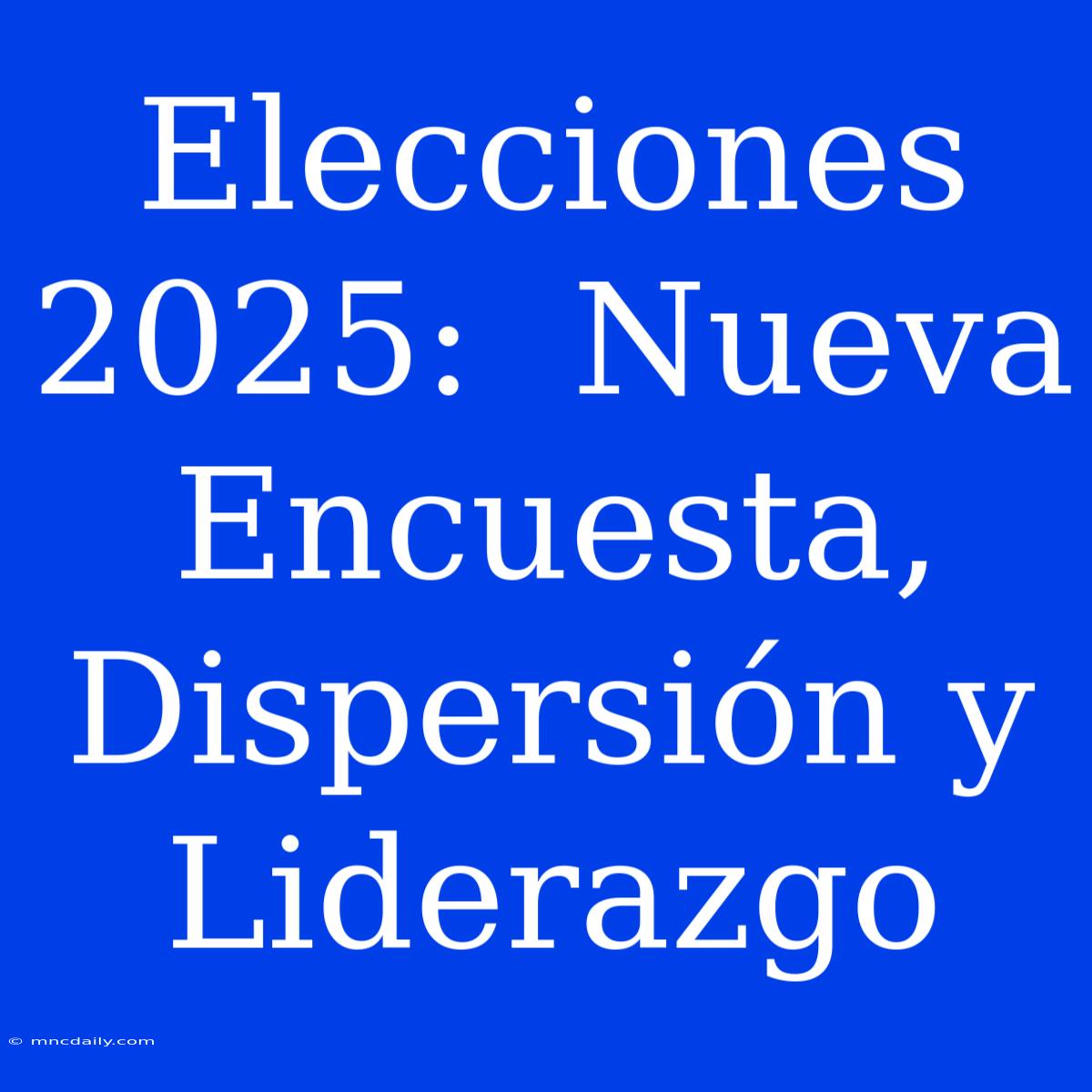 Elecciones 2025:  Nueva Encuesta, Dispersión Y Liderazgo