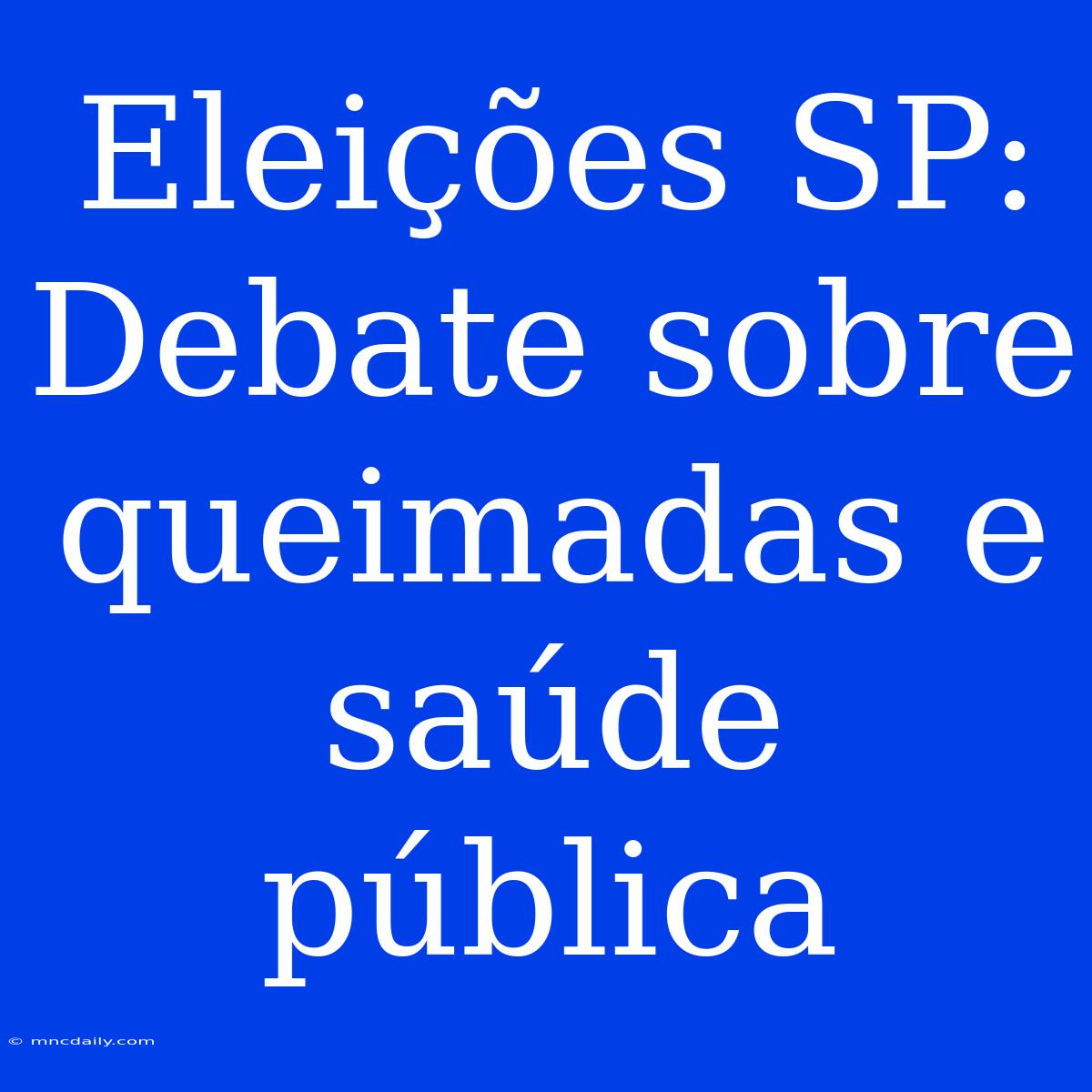 Eleições SP: Debate Sobre Queimadas E Saúde Pública 