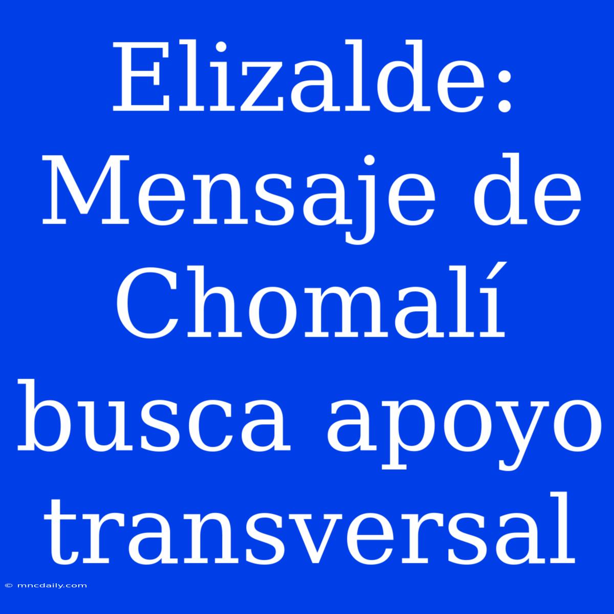 Elizalde: Mensaje De Chomalí Busca Apoyo Transversal