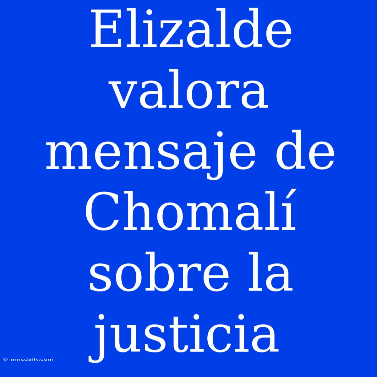 Elizalde Valora Mensaje De Chomalí Sobre La Justicia