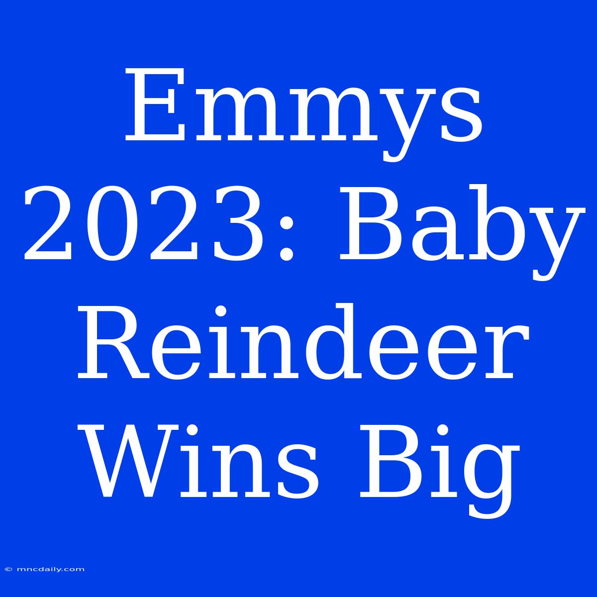 Emmys 2023: Baby Reindeer Wins Big 