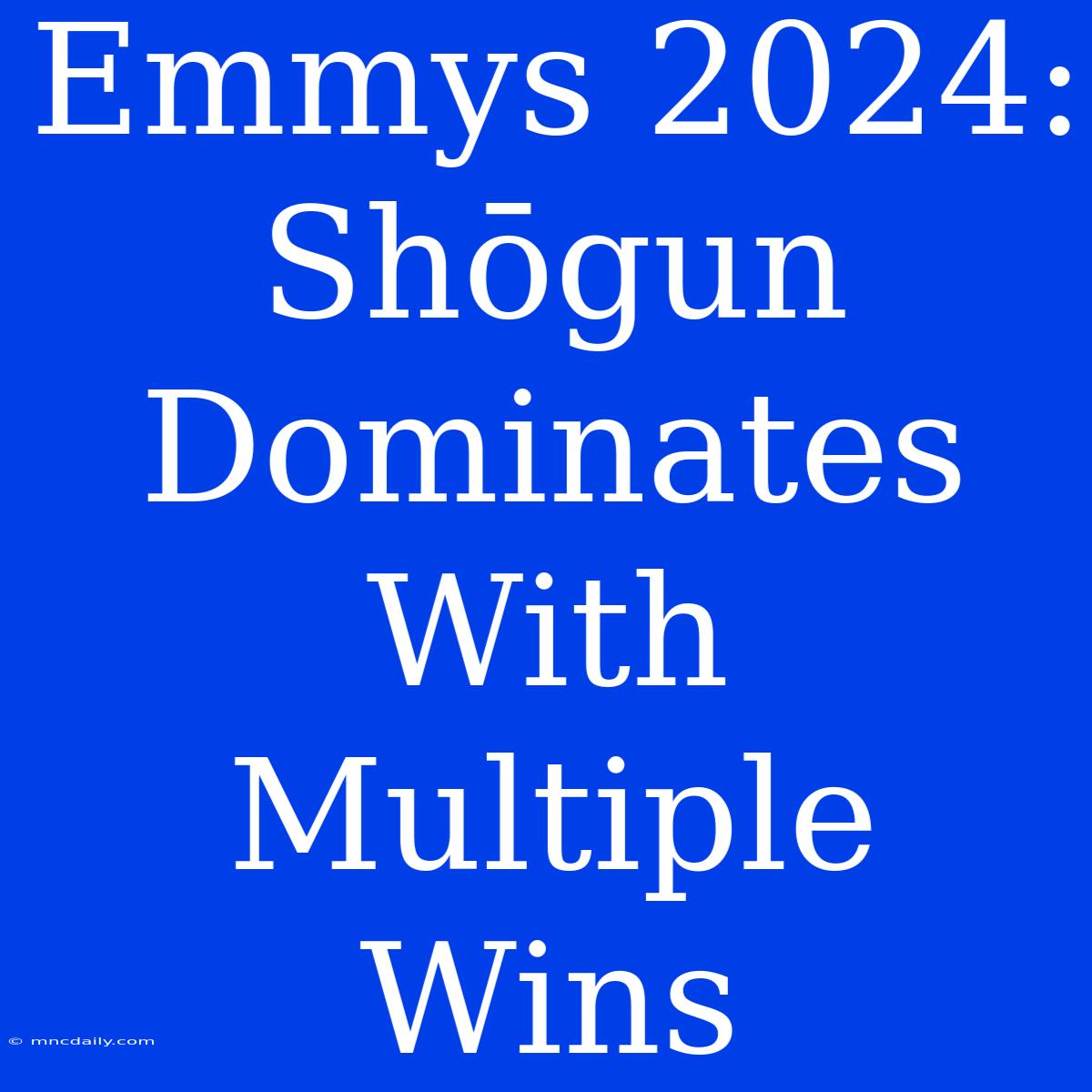 Emmys 2024: Shōgun Dominates With Multiple Wins