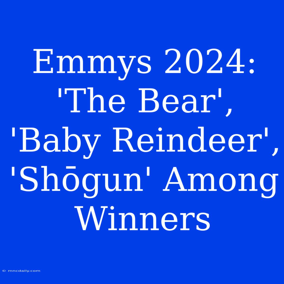 Emmys 2024: 'The Bear', 'Baby Reindeer', 'Shōgun' Among Winners 