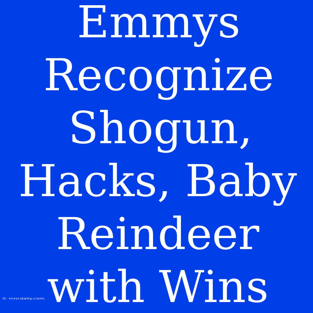 Emmys Recognize Shogun, Hacks, Baby Reindeer With Wins 