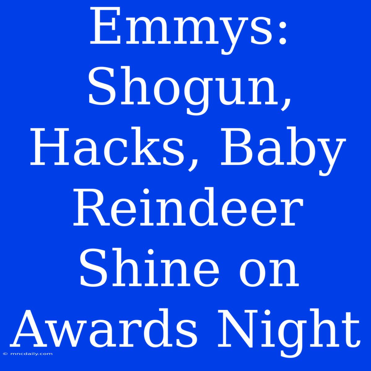 Emmys: Shogun, Hacks, Baby Reindeer Shine On Awards Night