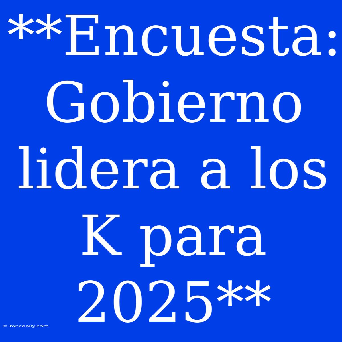 **Encuesta: Gobierno Lidera A Los K Para 2025**