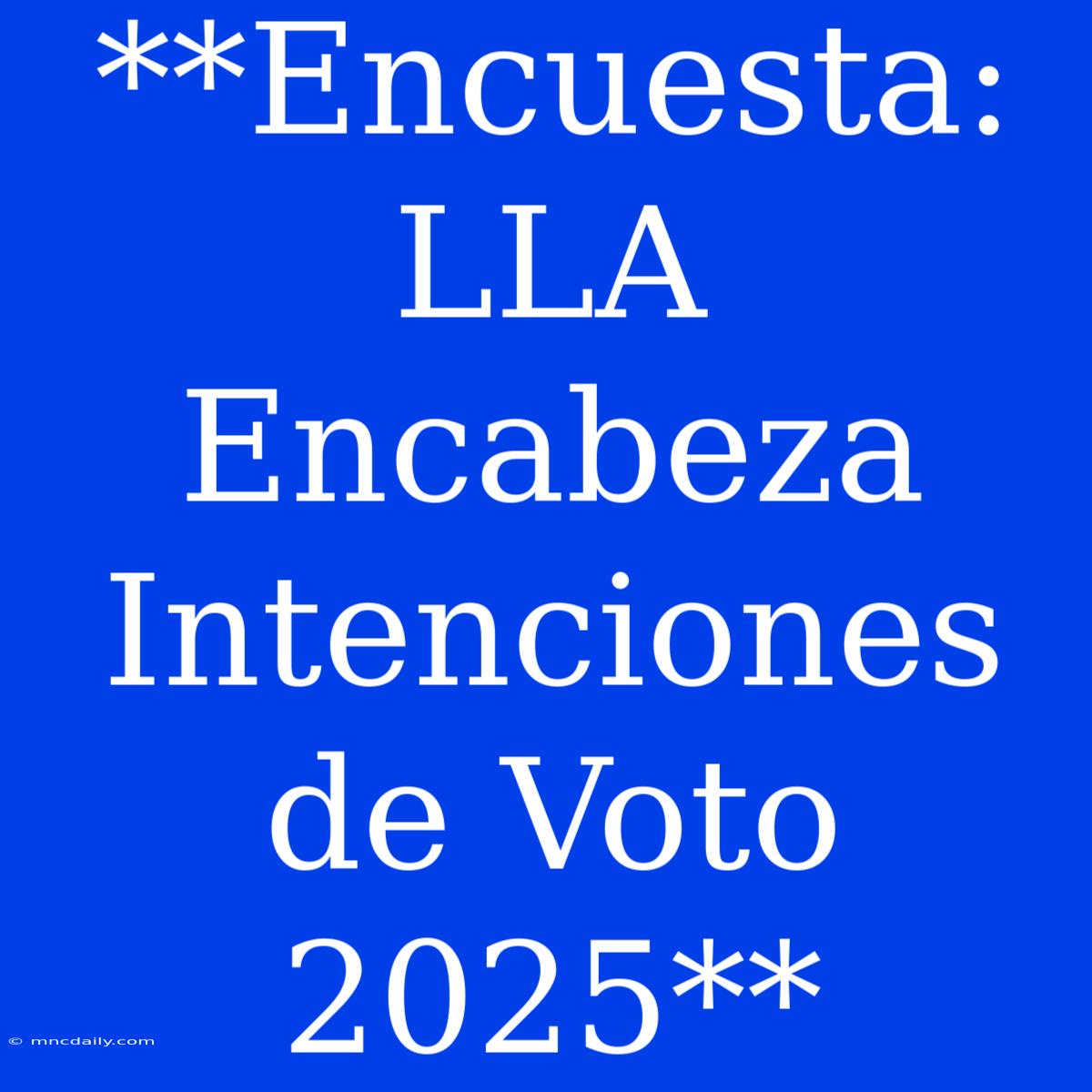 **Encuesta: LLA Encabeza Intenciones De Voto 2025**