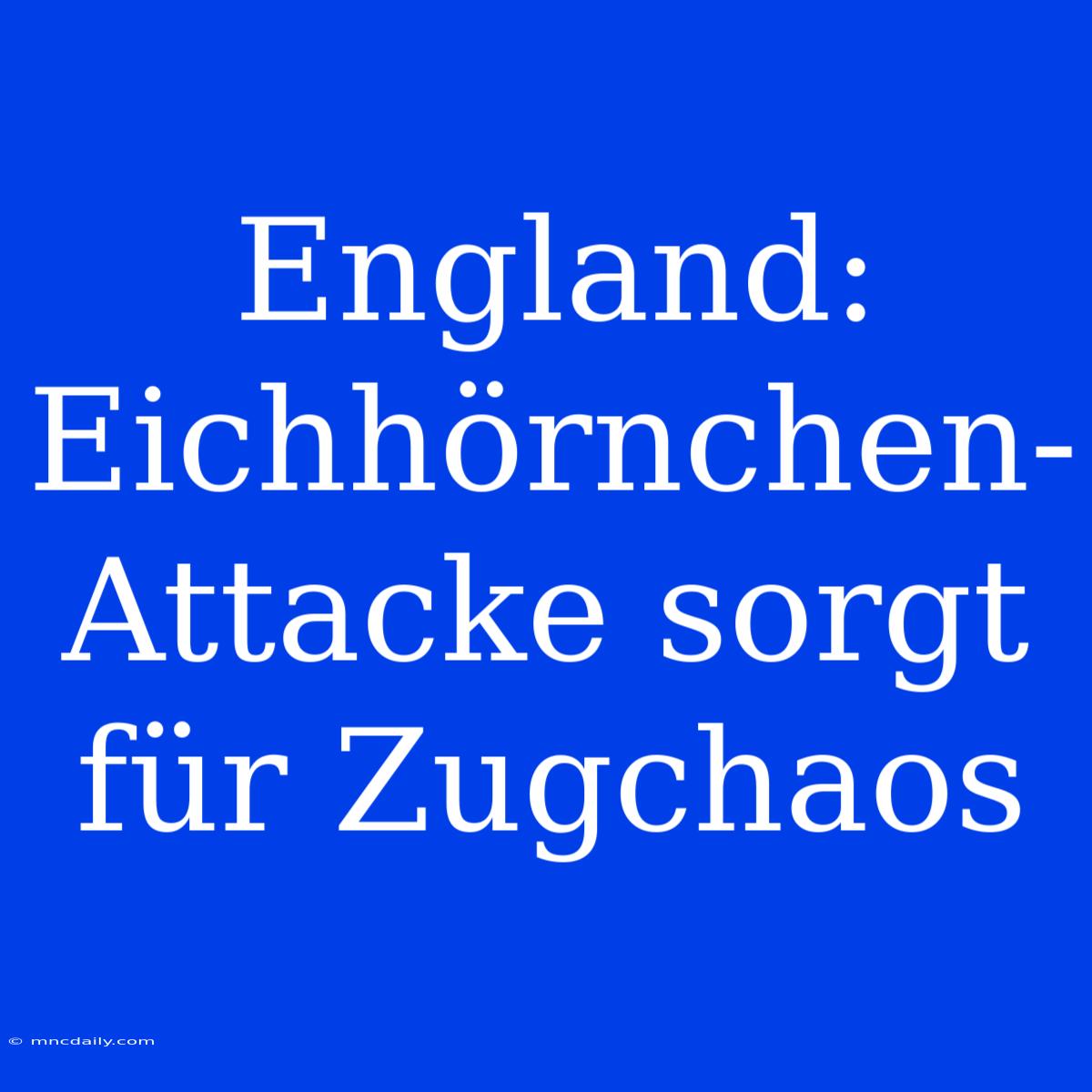 England: Eichhörnchen-Attacke Sorgt Für Zugchaos