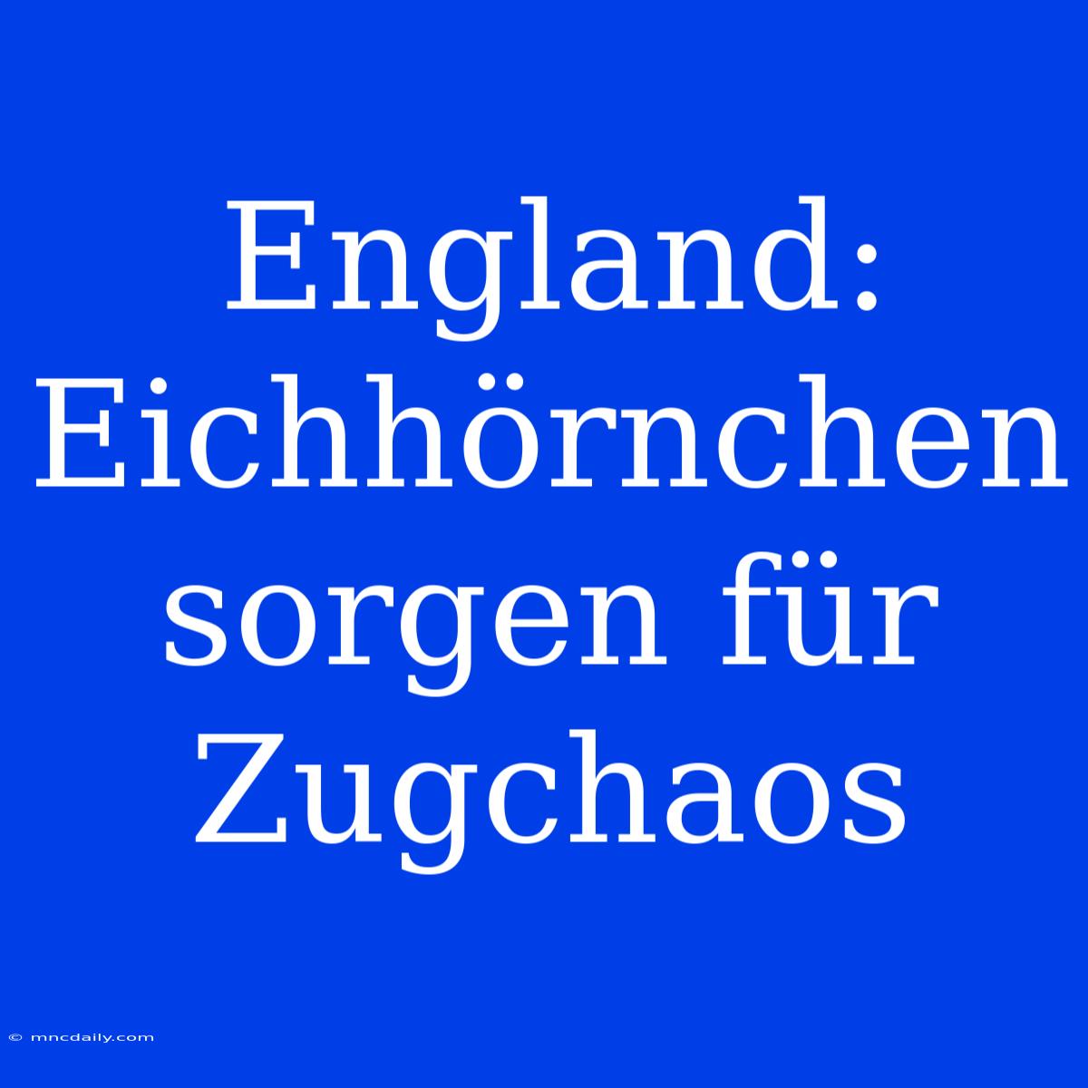 England: Eichhörnchen Sorgen Für Zugchaos 