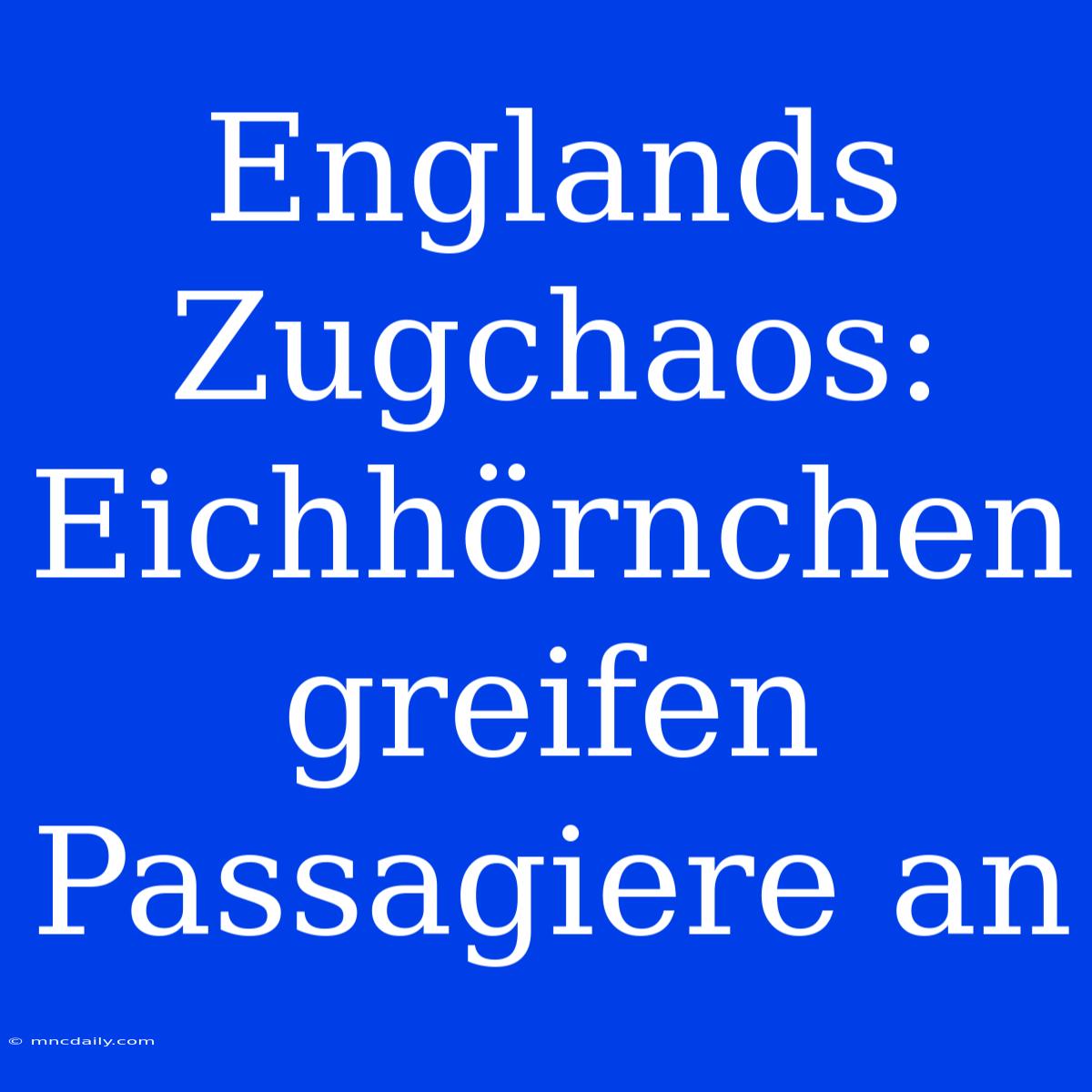 Englands Zugchaos: Eichhörnchen Greifen Passagiere An