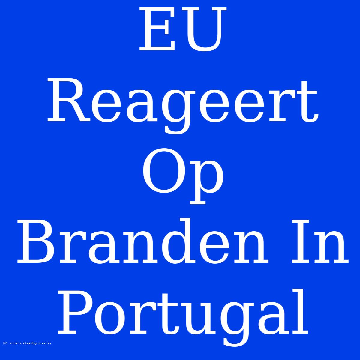 EU Reageert Op Branden In Portugal