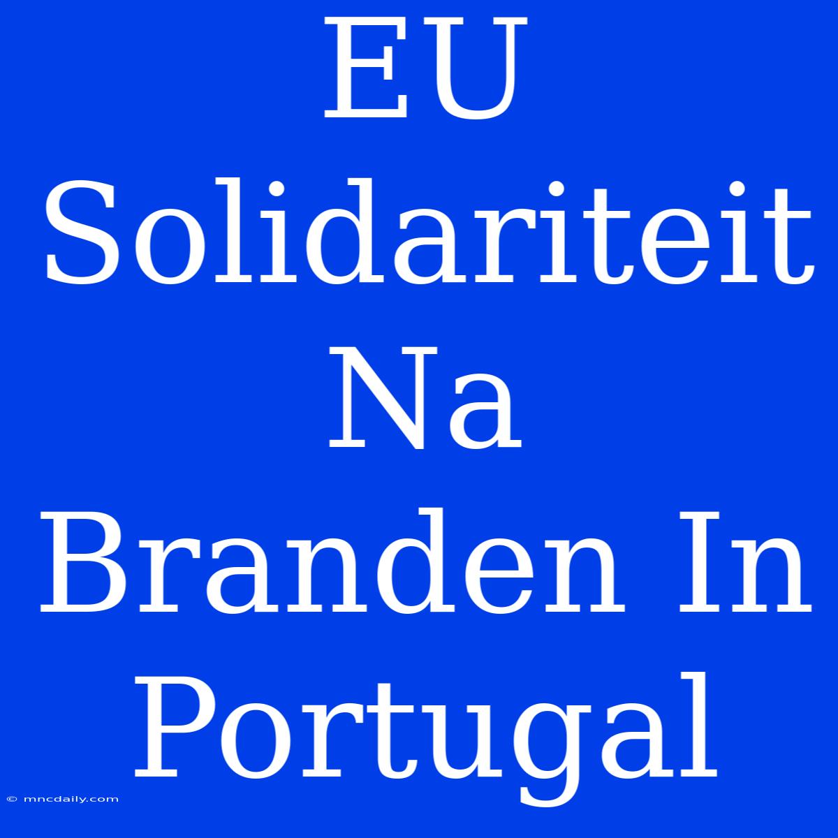 EU Solidariteit Na Branden In Portugal 