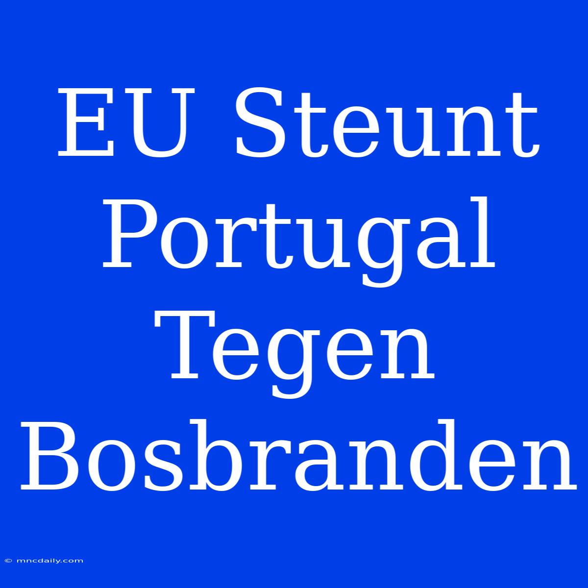 EU Steunt Portugal Tegen Bosbranden