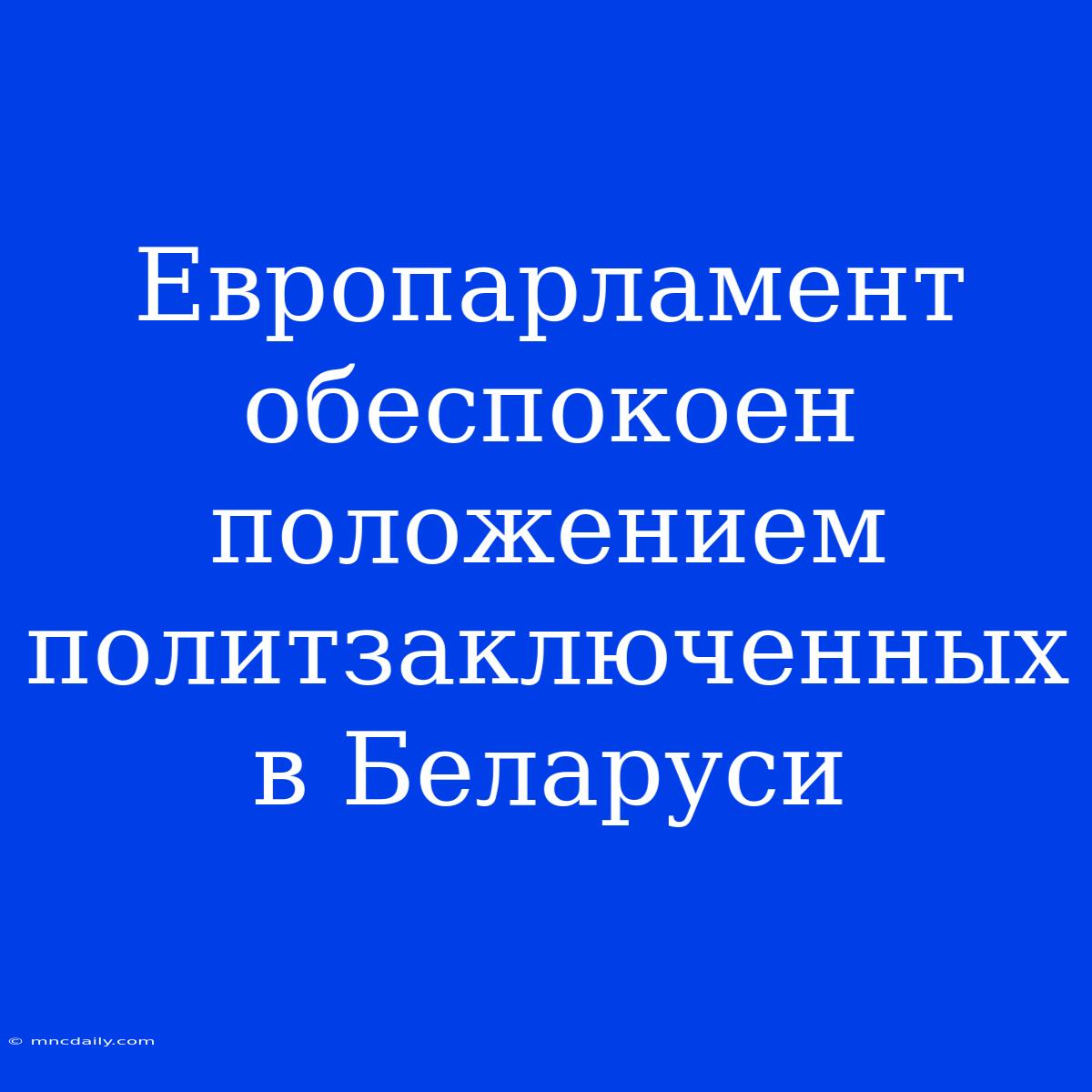 Европарламент Обеспокоен Положением Политзаключенных В Беларуси