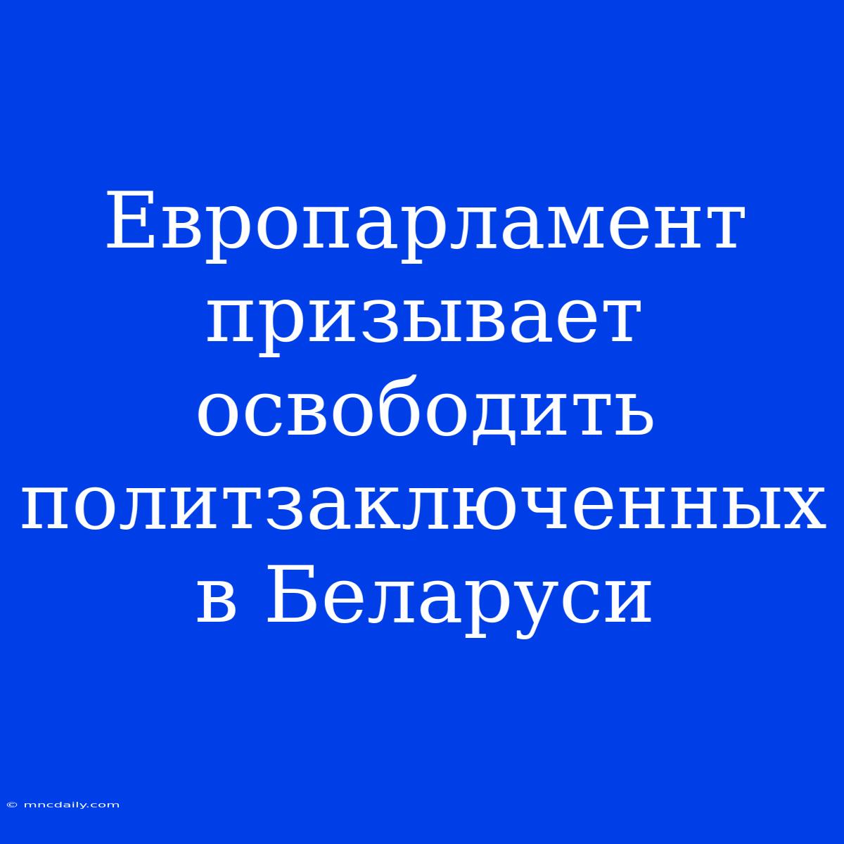 Европарламент Призывает Освободить Политзаключенных В Беларуси