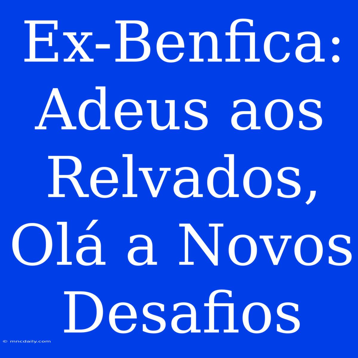 Ex-Benfica: Adeus Aos Relvados, Olá A Novos Desafios