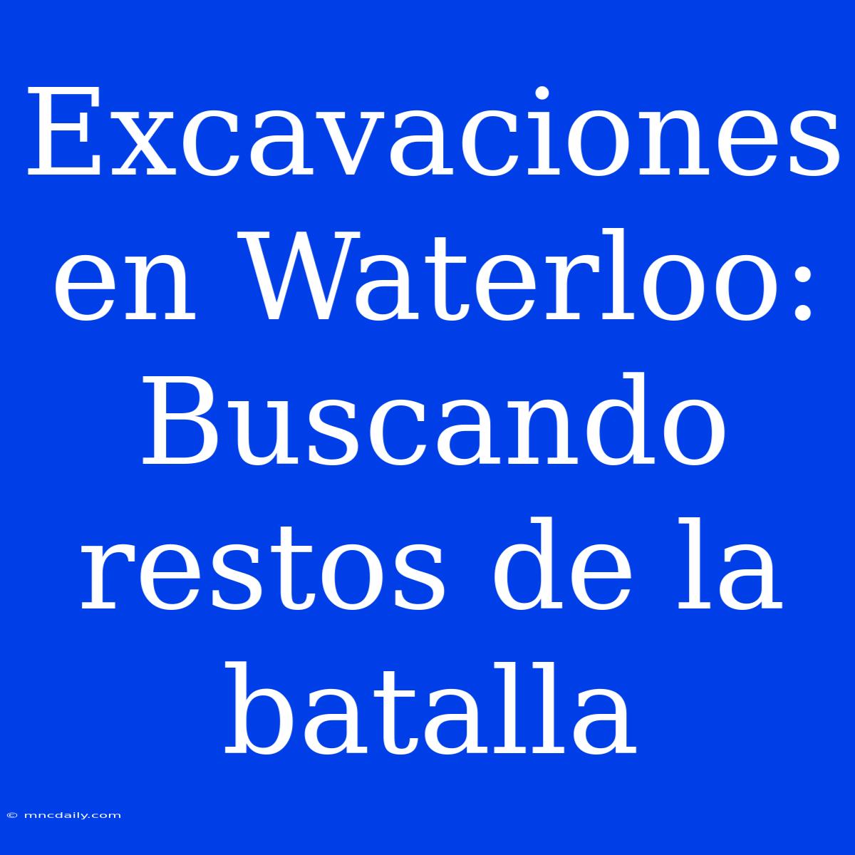 Excavaciones En Waterloo: Buscando Restos De La Batalla 