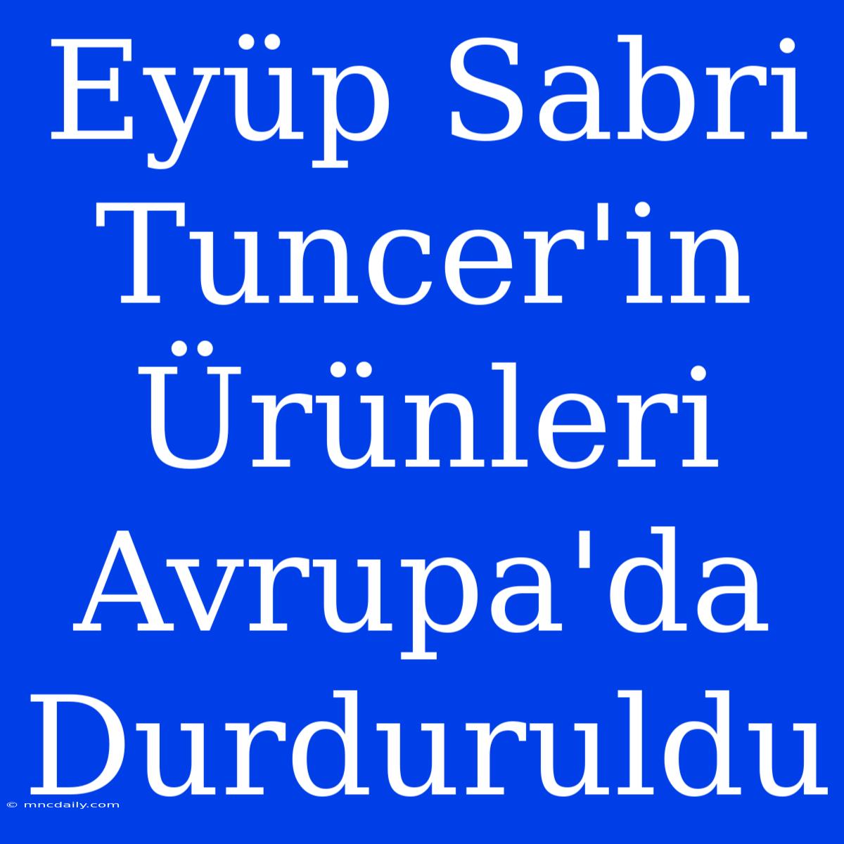 Eyüp Sabri Tuncer'in Ürünleri Avrupa'da Durduruldu