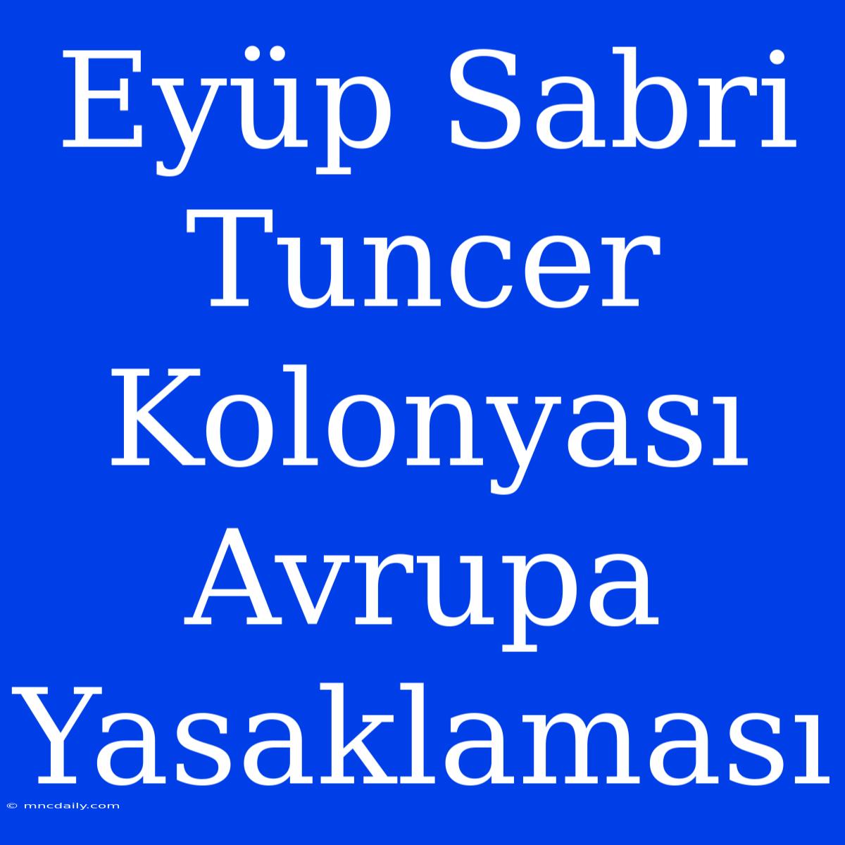 Eyüp Sabri Tuncer Kolonyası Avrupa Yasaklaması