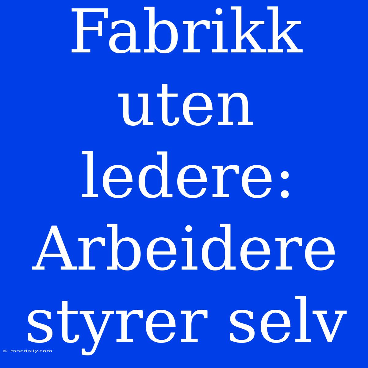 Fabrikk Uten Ledere: Arbeidere Styrer Selv