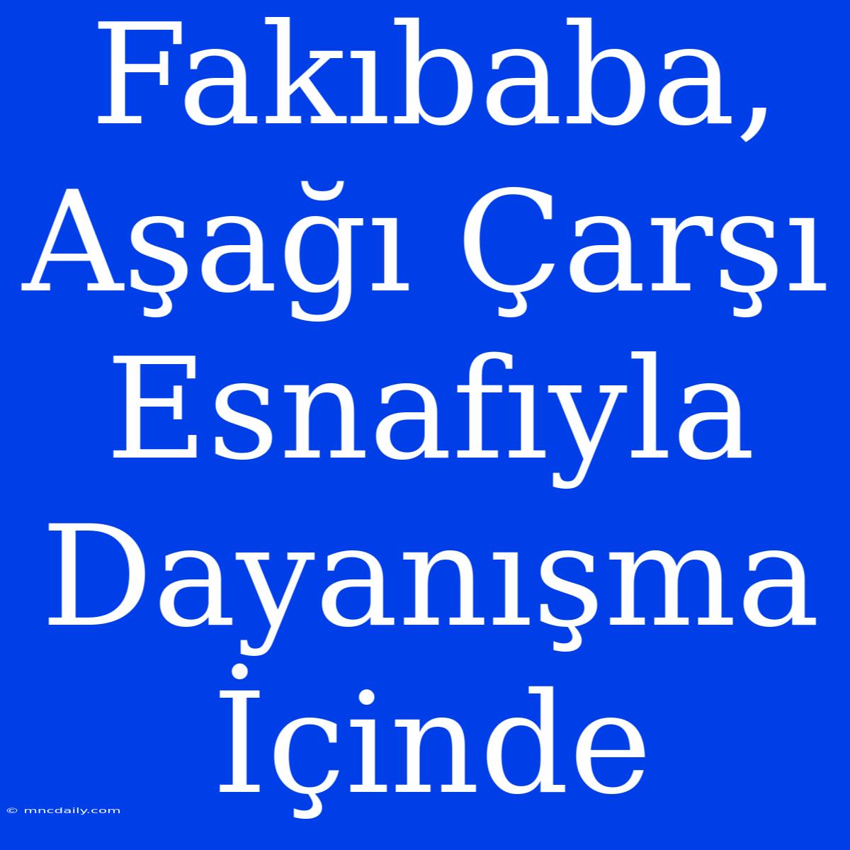 Fakıbaba, Aşağı Çarşı Esnafıyla Dayanışma İçinde