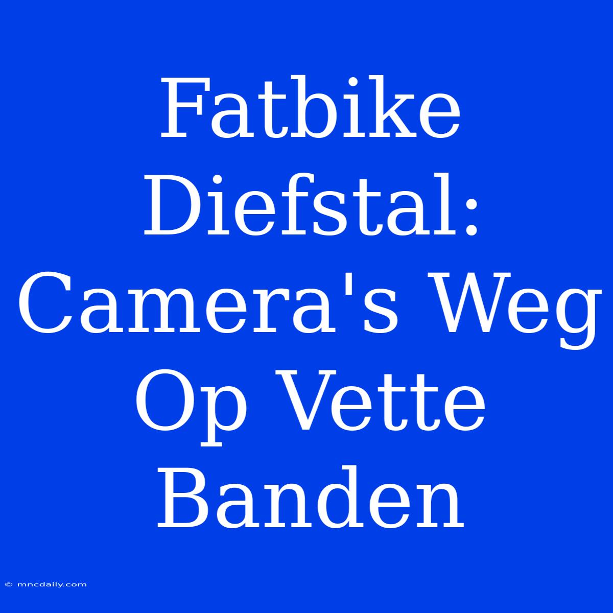 Fatbike Diefstal: Camera's Weg Op Vette Banden