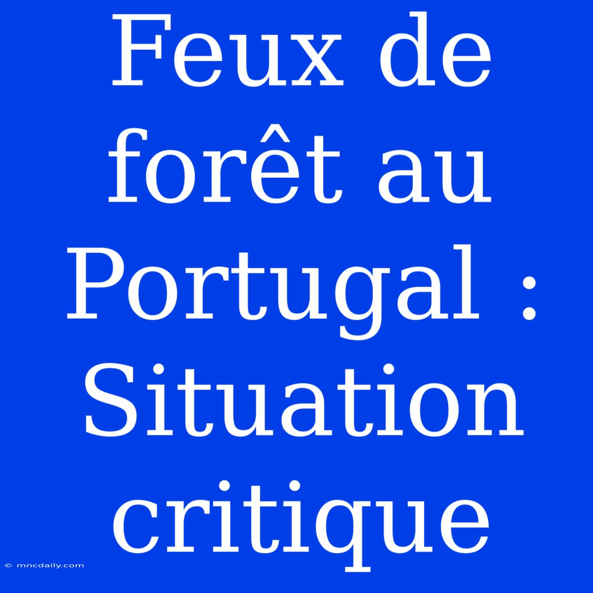 Feux De Forêt Au Portugal : Situation Critique