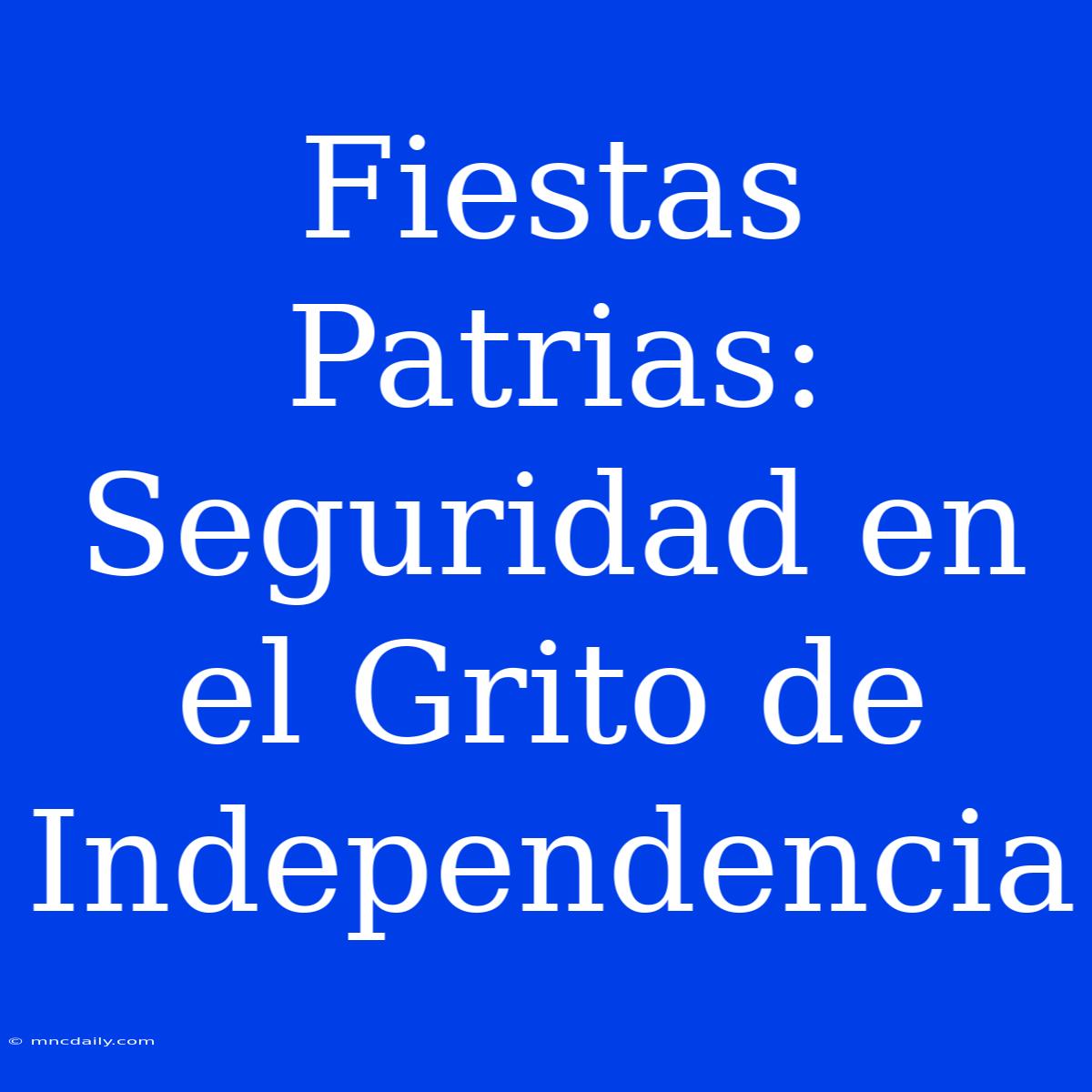 Fiestas Patrias: Seguridad En El Grito De Independencia