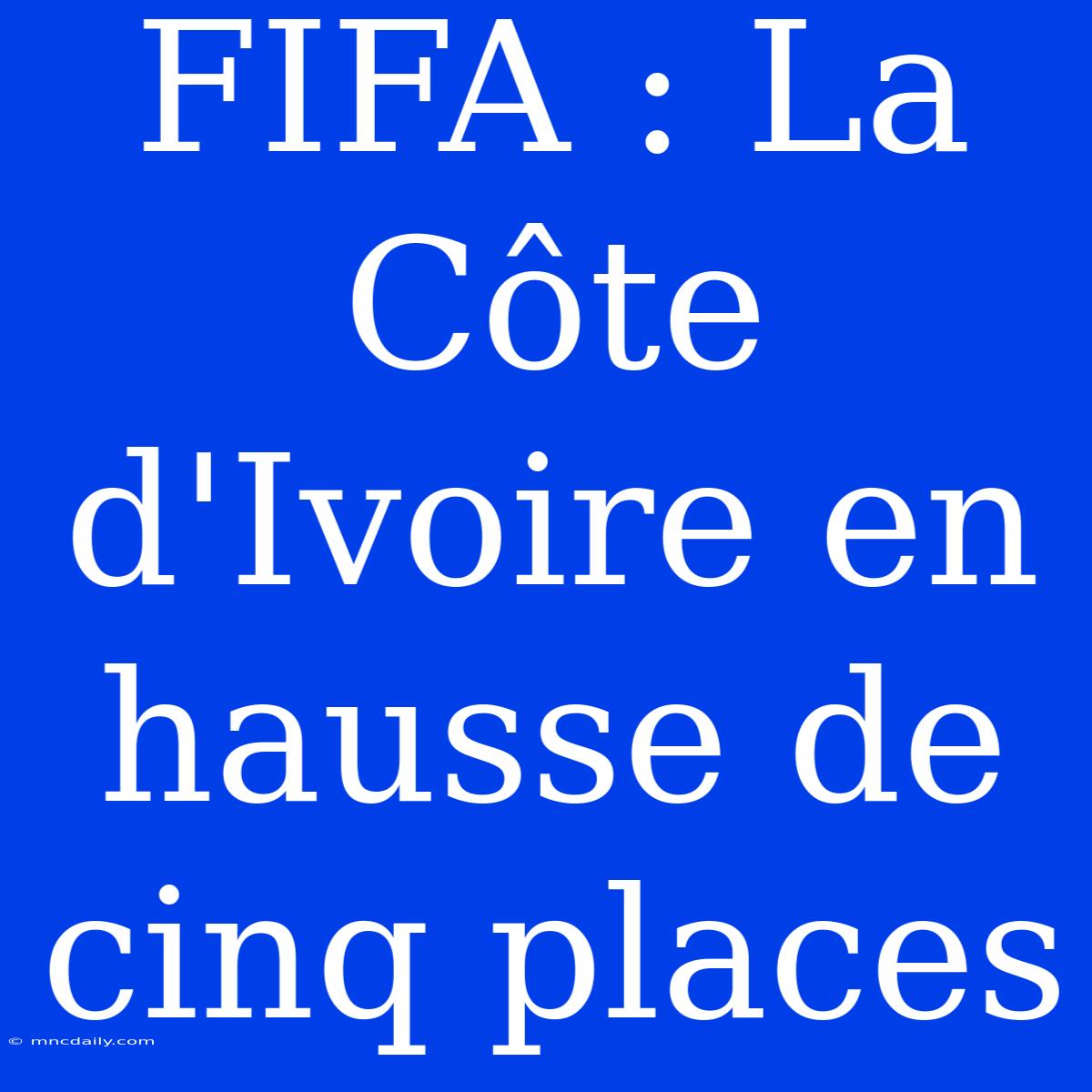 FIFA : La Côte D'Ivoire En Hausse De Cinq Places