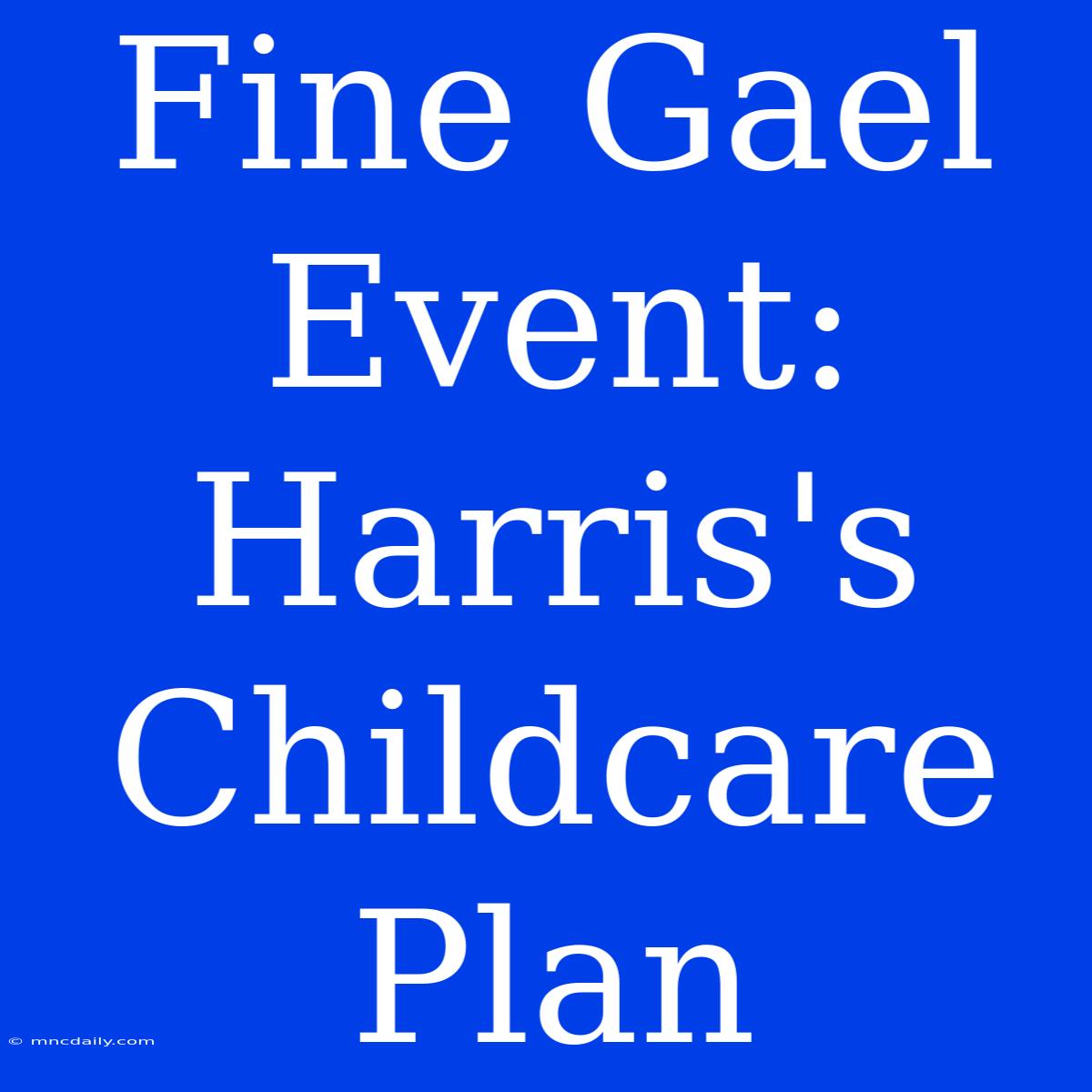 Fine Gael Event: Harris's Childcare Plan