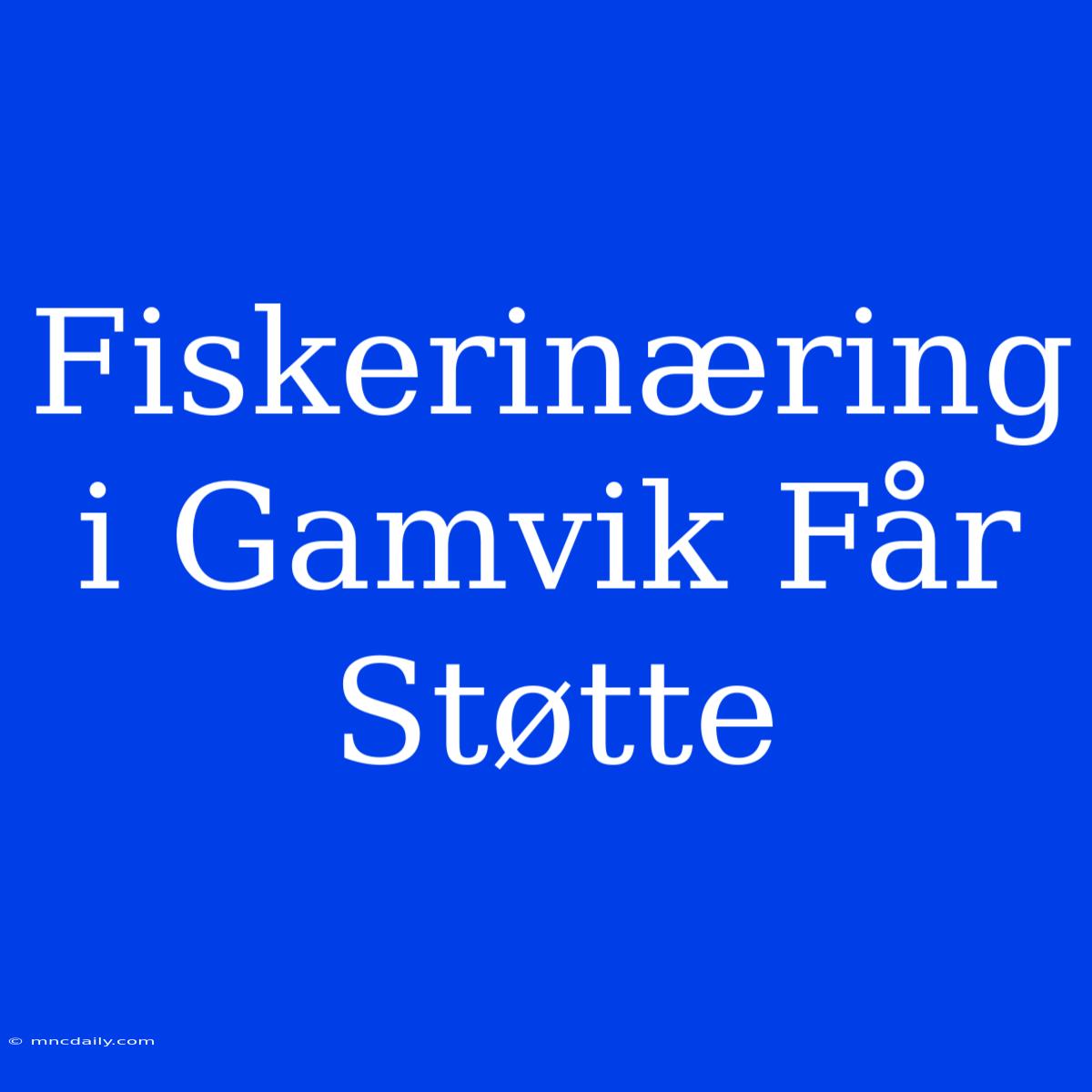 Fiskerinæring I Gamvik Får Støtte