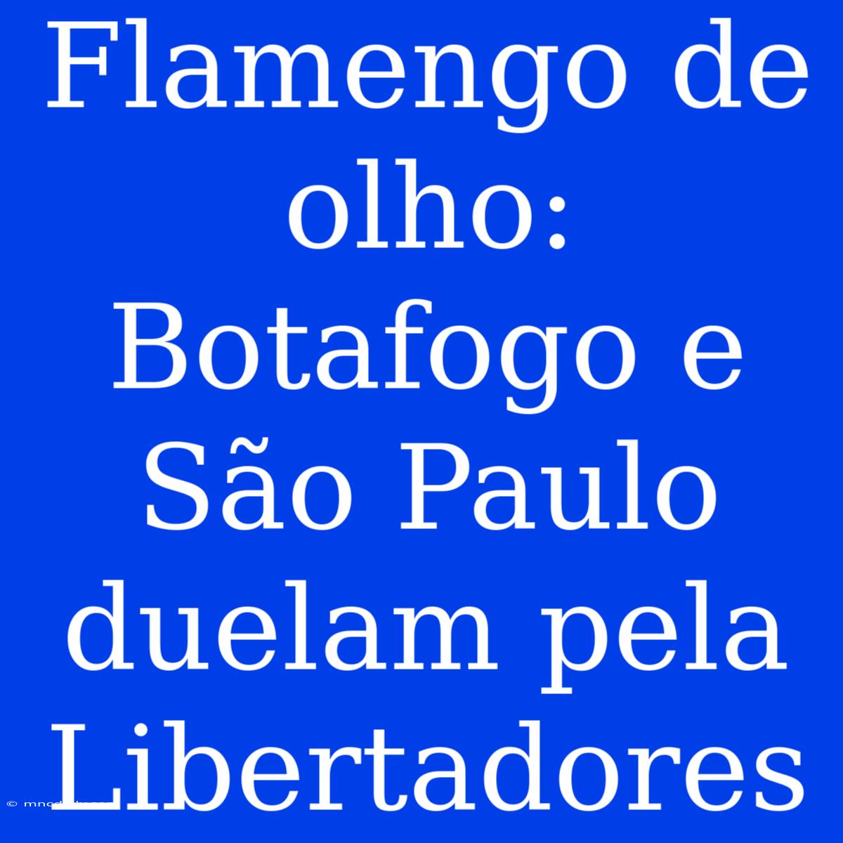 Flamengo De Olho: Botafogo E São Paulo Duelam Pela Libertadores