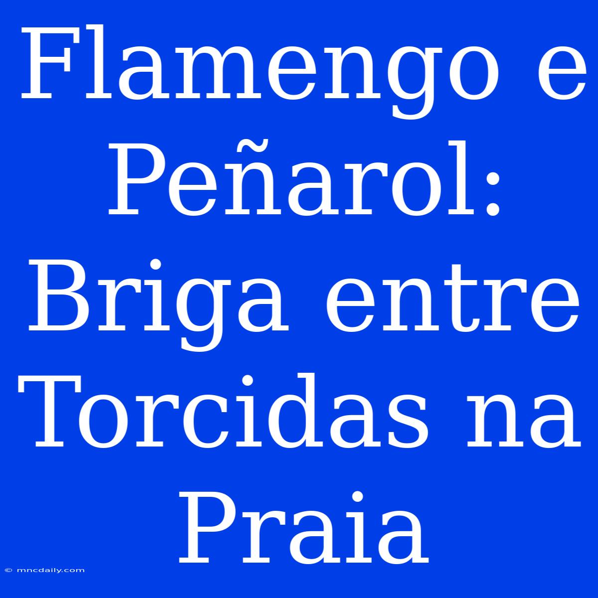 Flamengo E Peñarol: Briga Entre Torcidas Na Praia