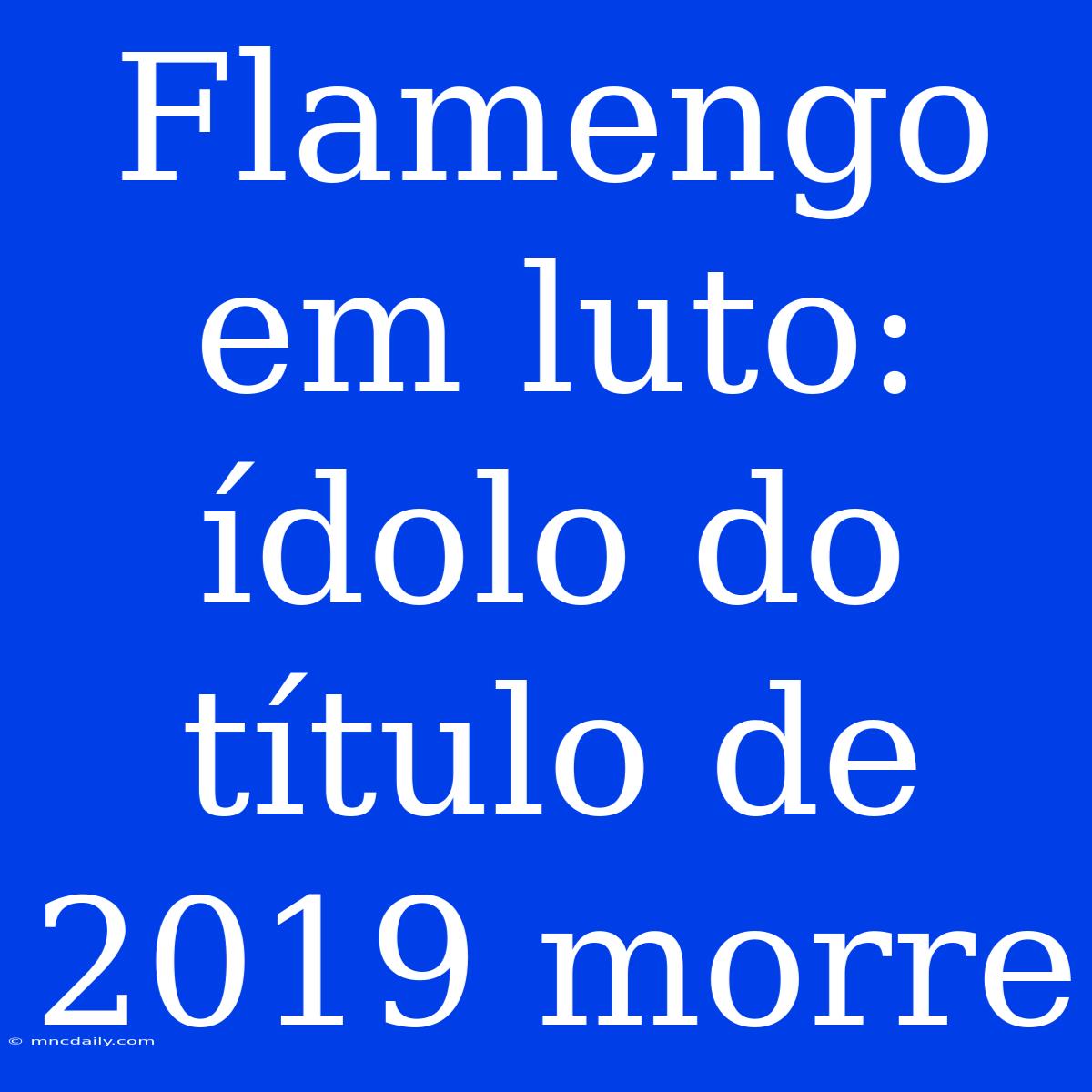 Flamengo Em Luto: Ídolo Do Título De 2019 Morre