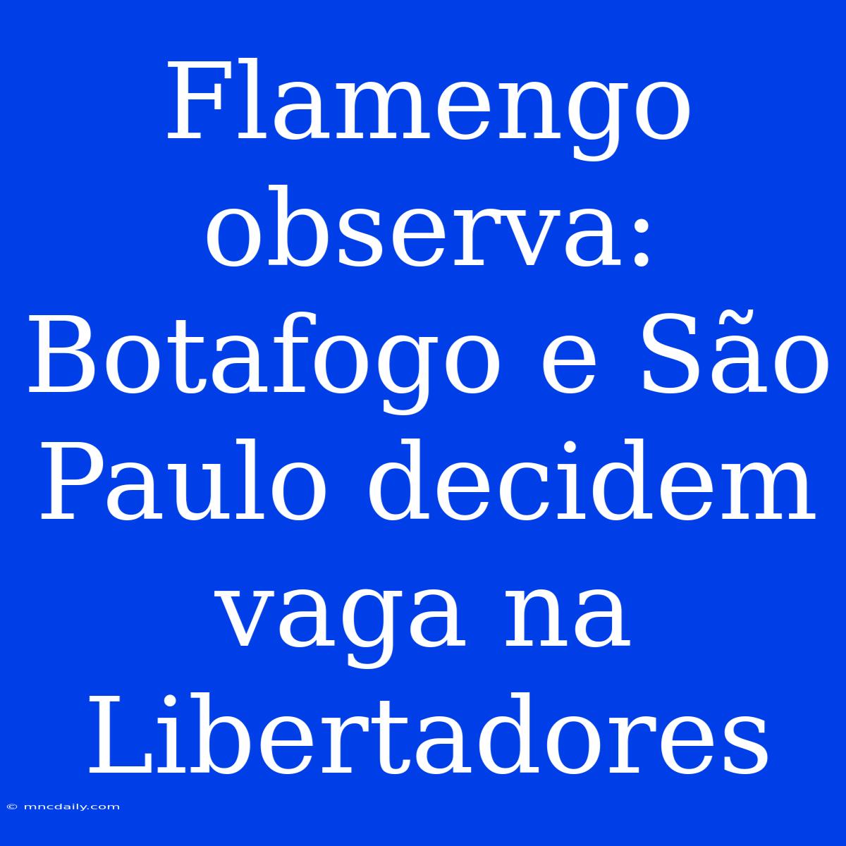 Flamengo Observa: Botafogo E São Paulo Decidem Vaga Na Libertadores 