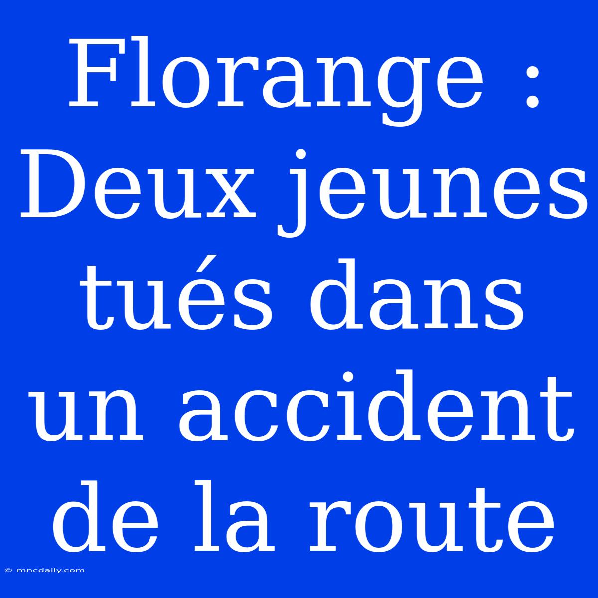 Florange : Deux Jeunes Tués Dans Un Accident De La Route