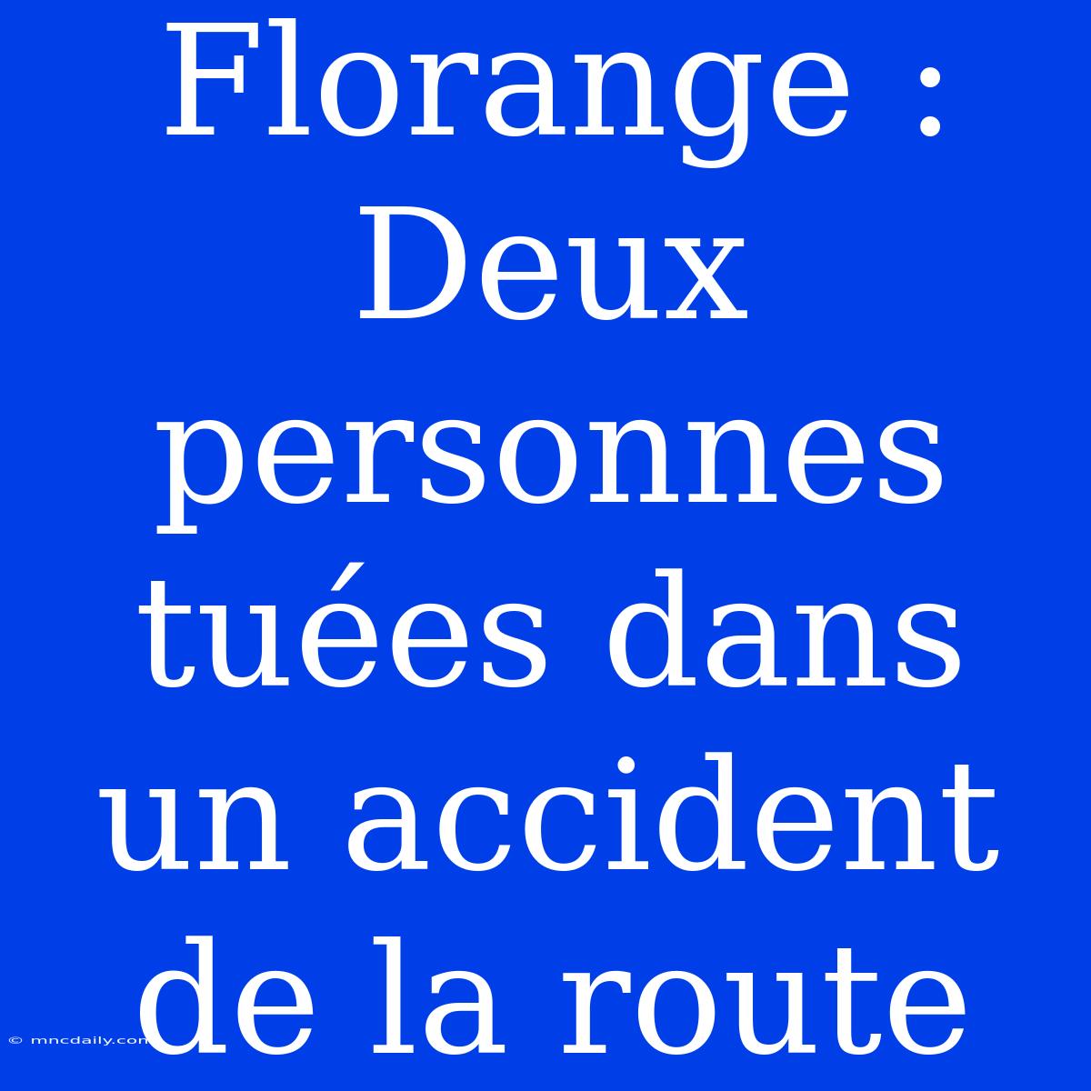 Florange : Deux Personnes Tuées Dans Un Accident De La Route