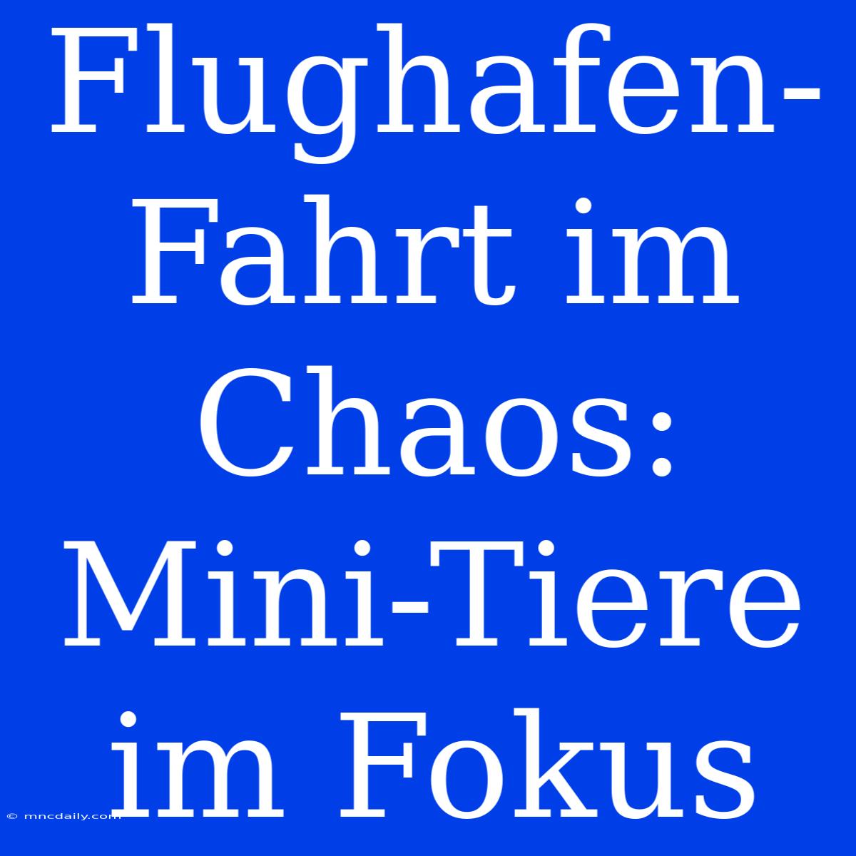 Flughafen-Fahrt Im Chaos: Mini-Tiere Im Fokus