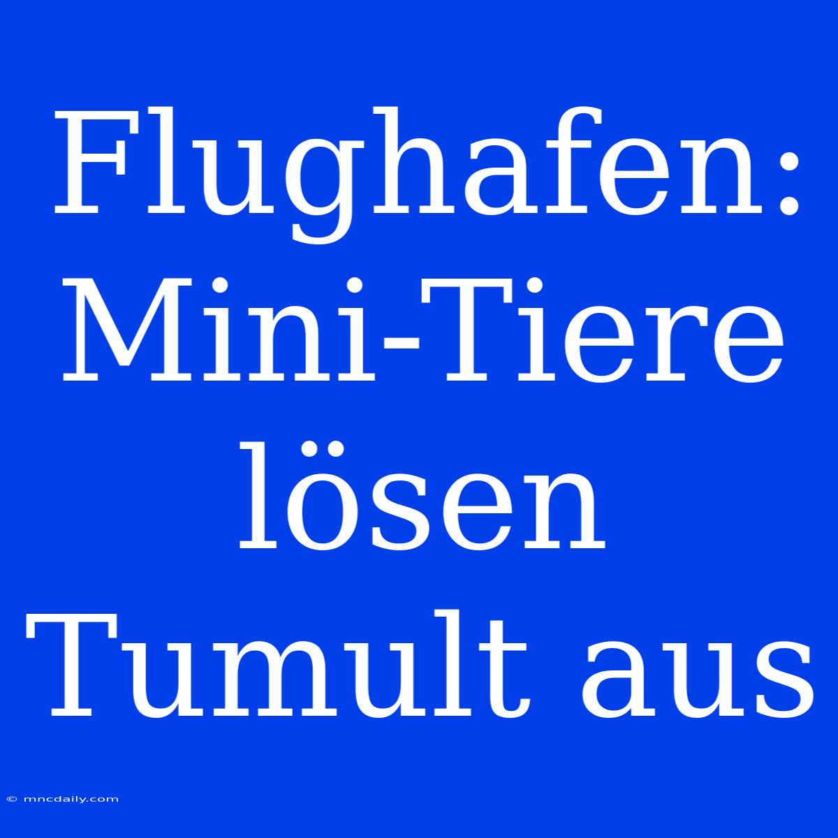 Flughafen: Mini-Tiere Lösen Tumult Aus