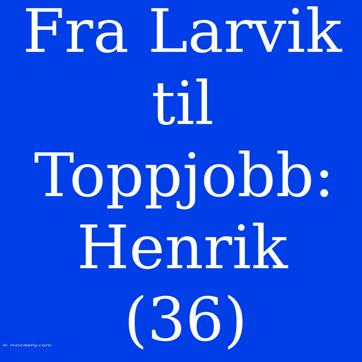 Fra Larvik Til Toppjobb: Henrik (36)