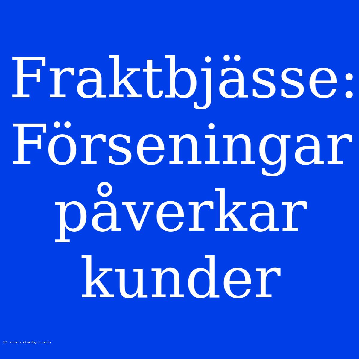 Fraktbjässe: Förseningar Påverkar Kunder