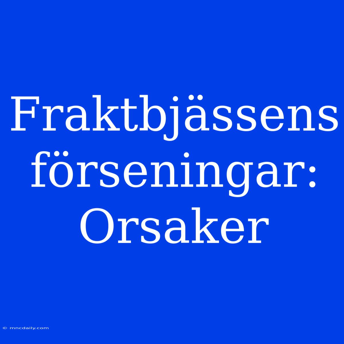 Fraktbjässens Förseningar: Orsaker